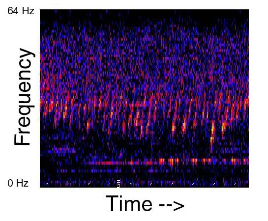 The Upsweep recording: document