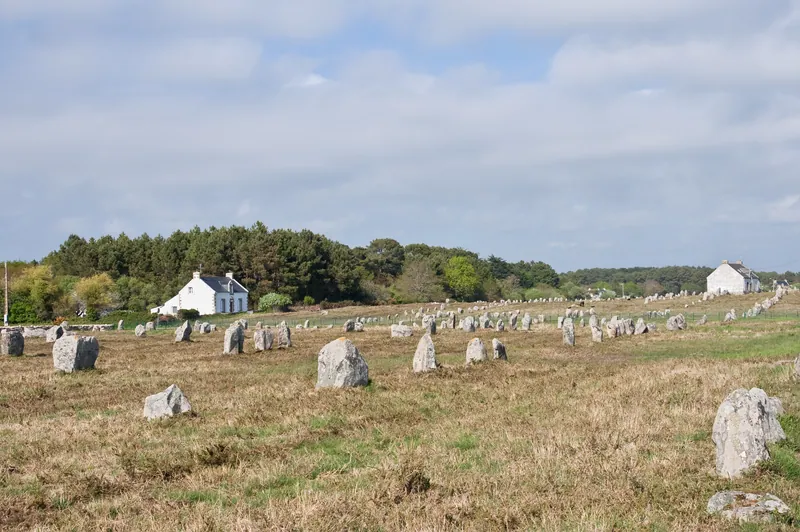 The standing rows of Le Ménec, Kermario and Kerlescan: photo