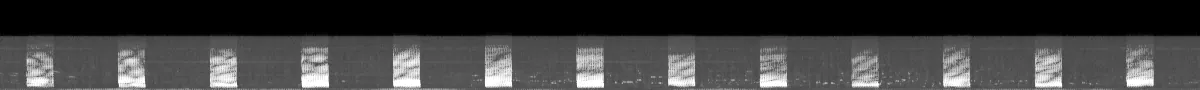 Spectrogram of Off-air recording of pirate audio on 4625 kHz, 1 March 2022