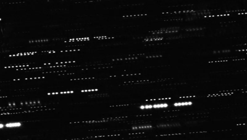 1I/'Oumuamua