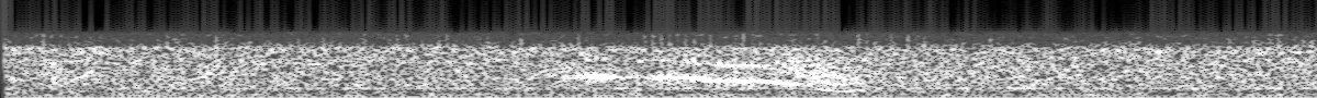 Spectrogram of The Julia recording