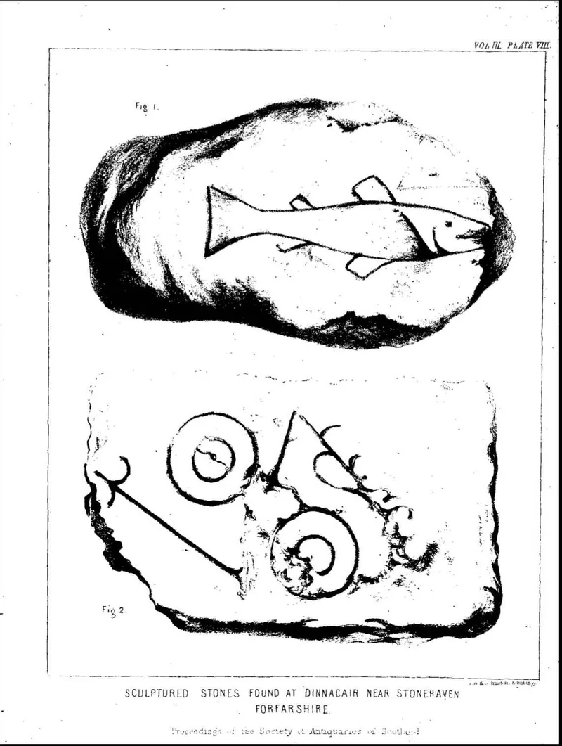 The Dunnicaer carved stones