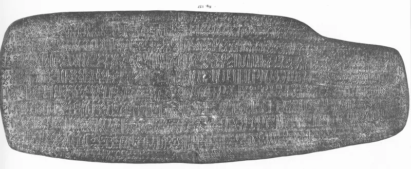 The four rongorongo tablets in Rome (Congregation of the Sacred Hearts of Jesus and Mary)