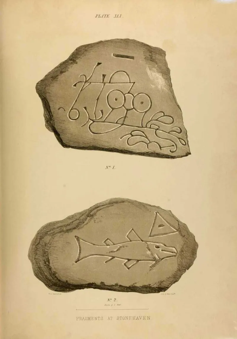 The Dunnicaer carved stones: transcription