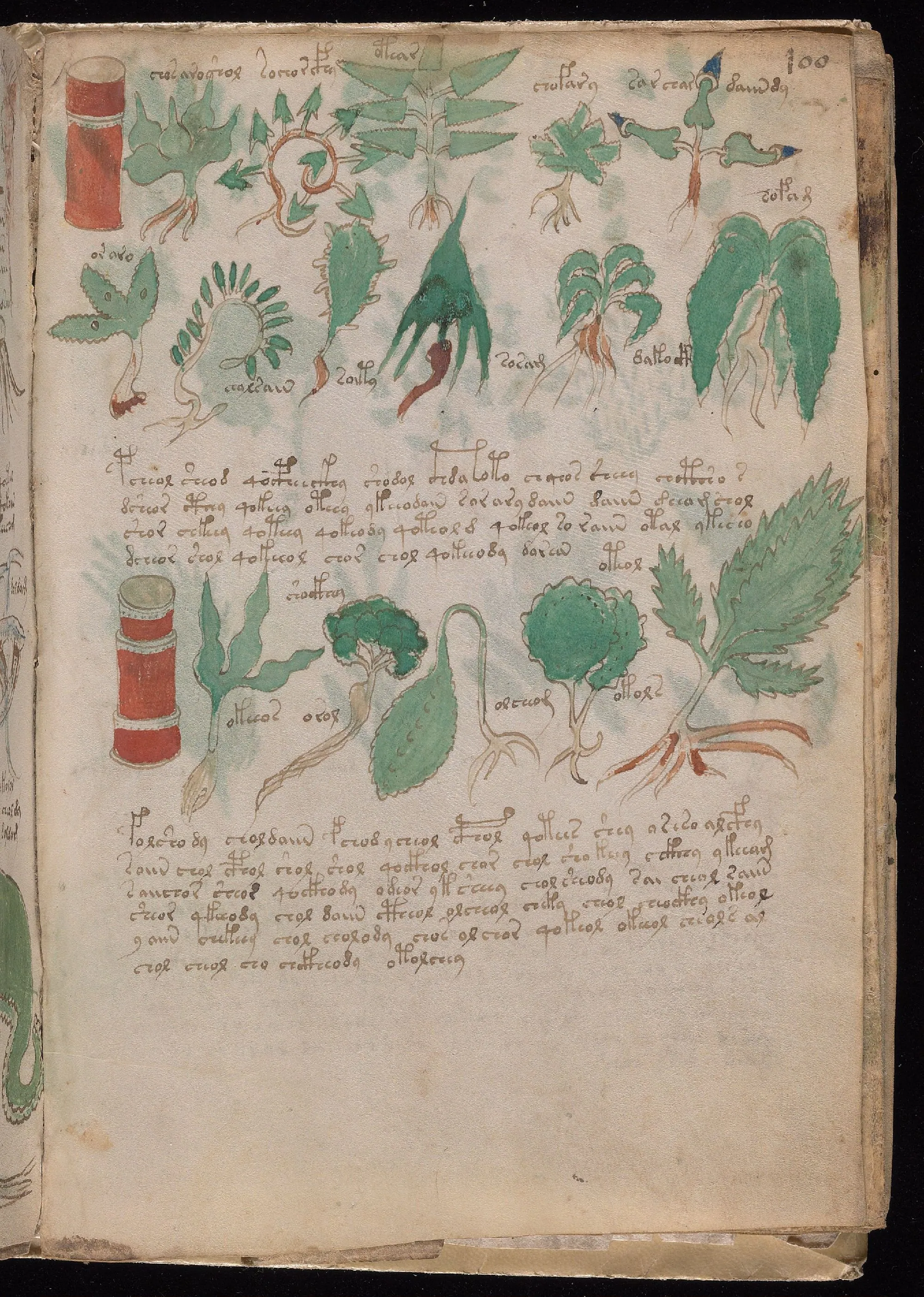 Folio 100r