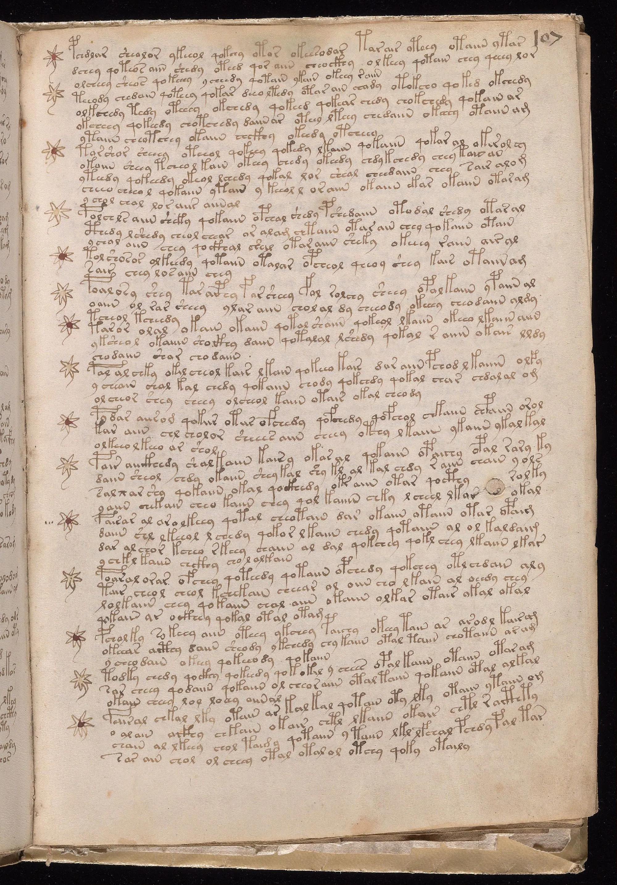 Folio 107r