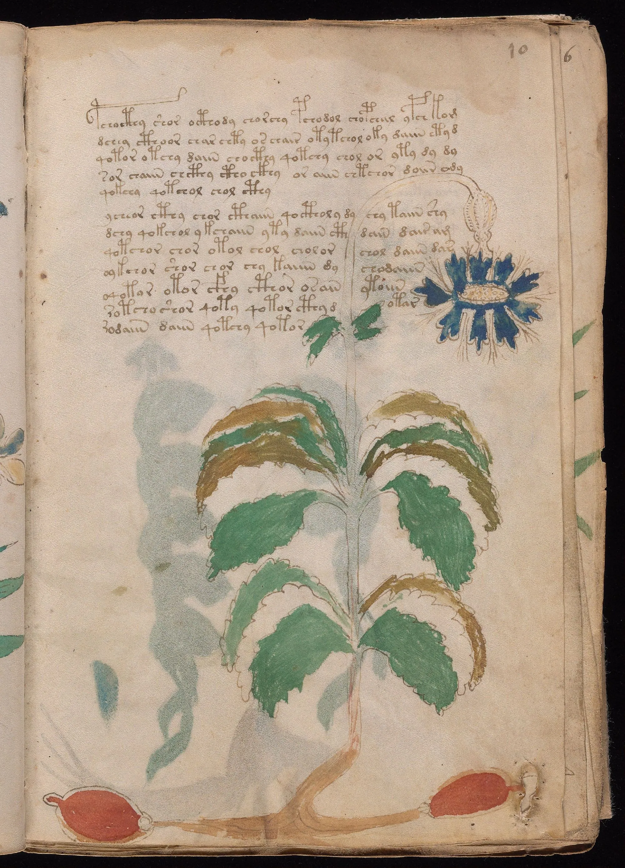 Folio 10r