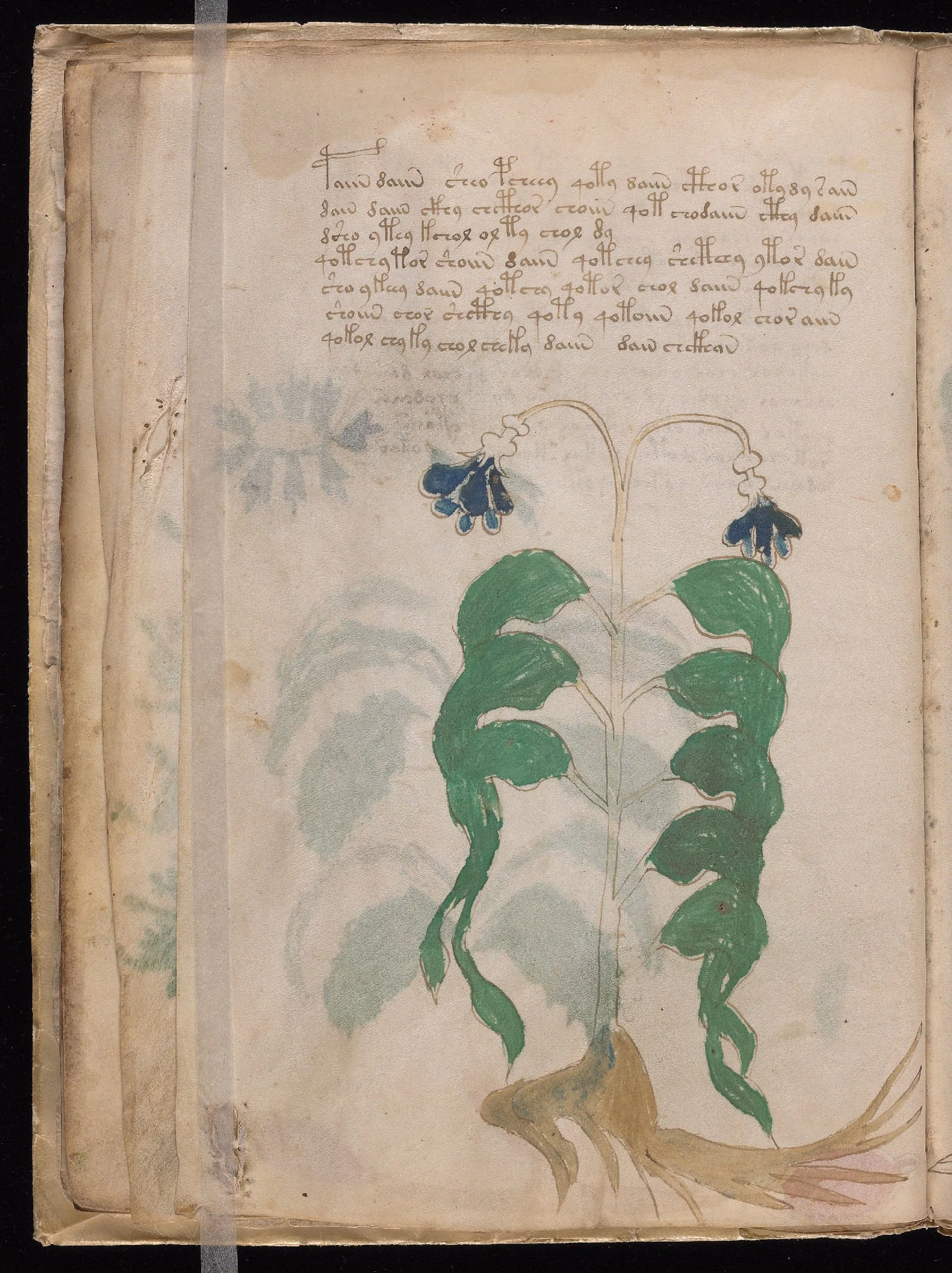 Folio 10v