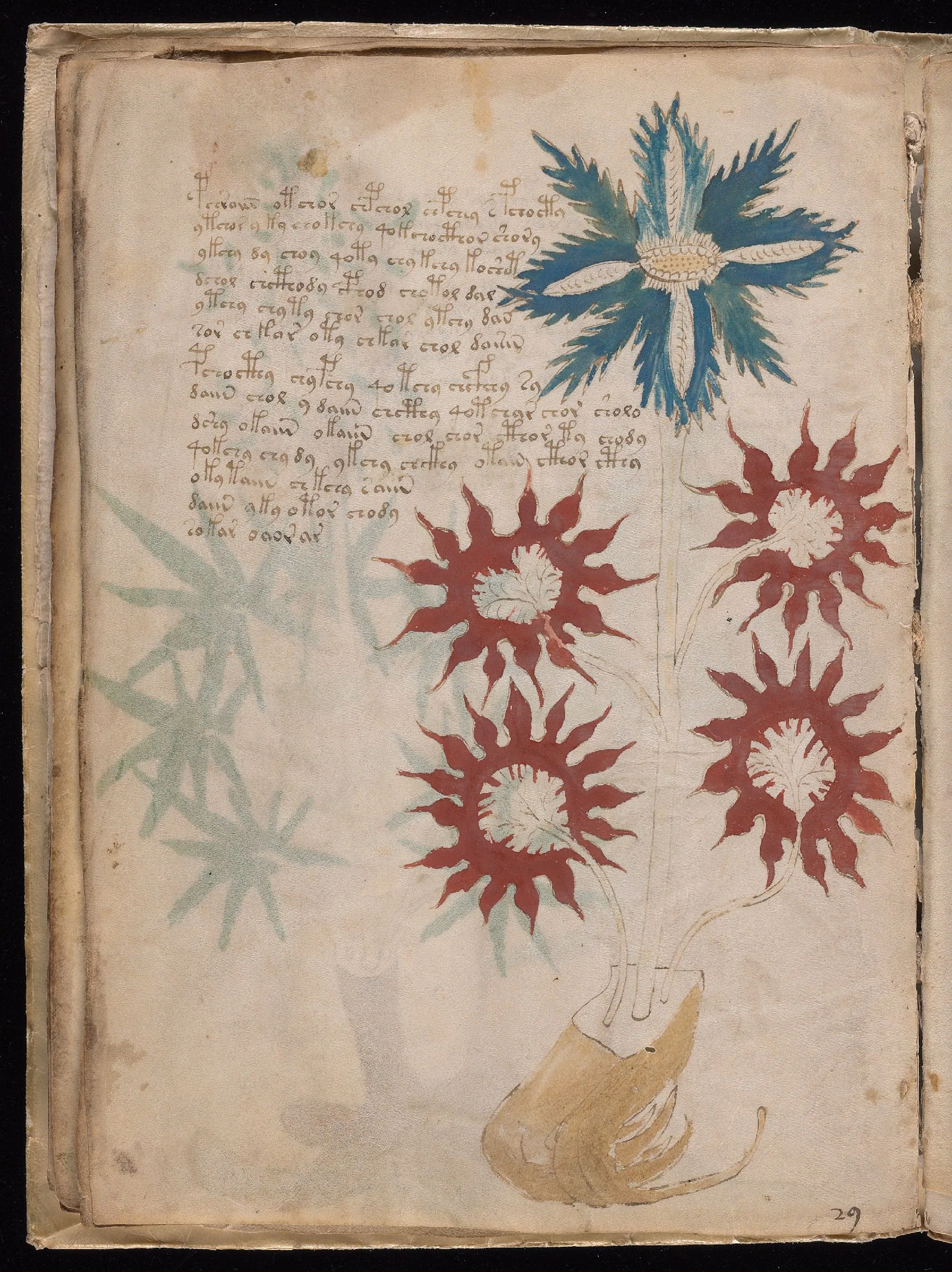 Folio 16v