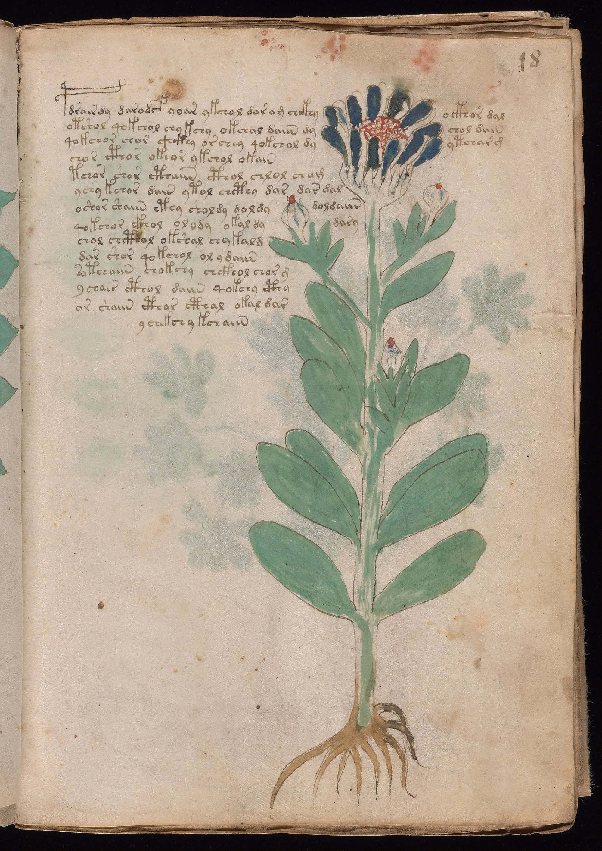 Folio 18r