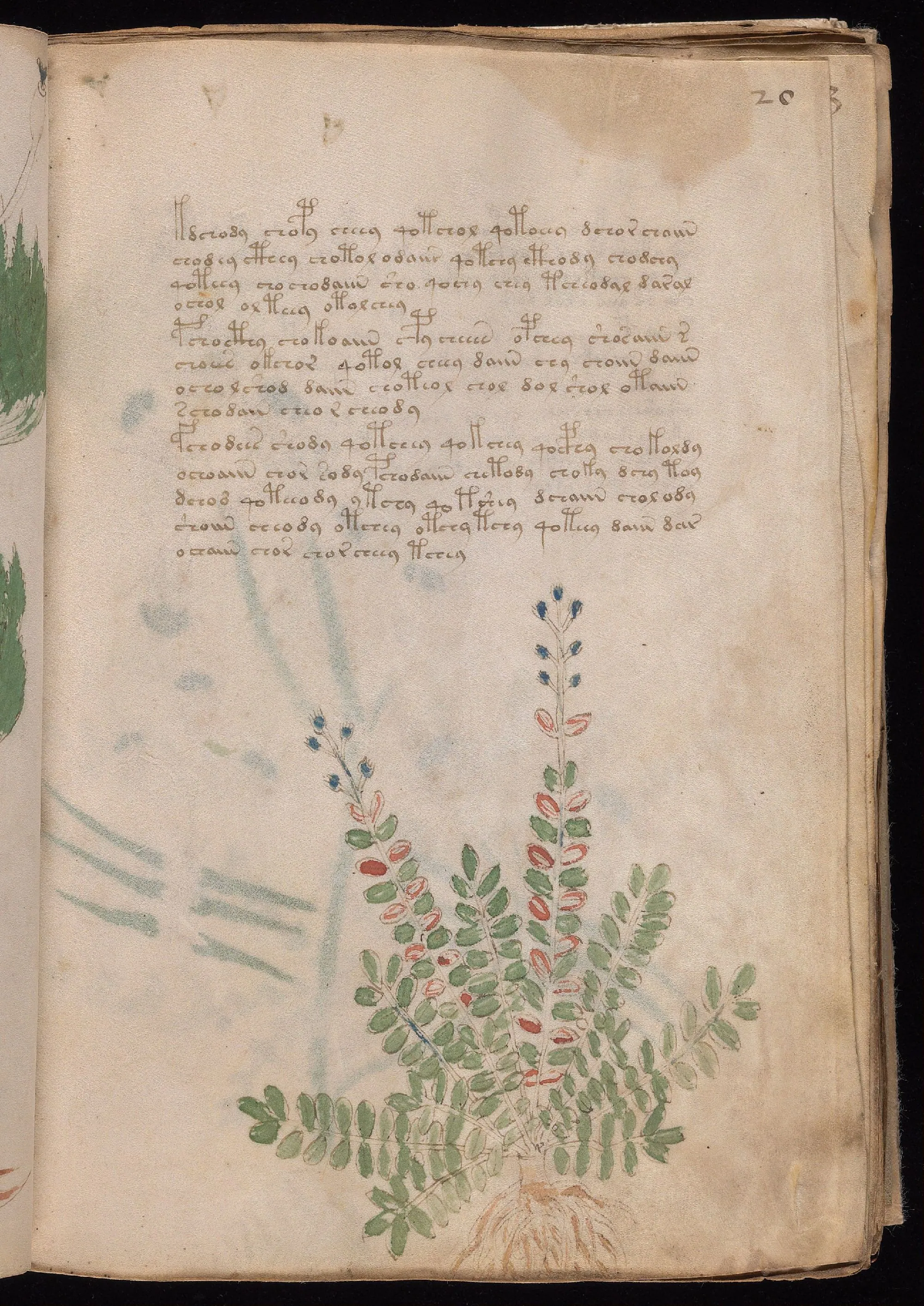 Folio 20r