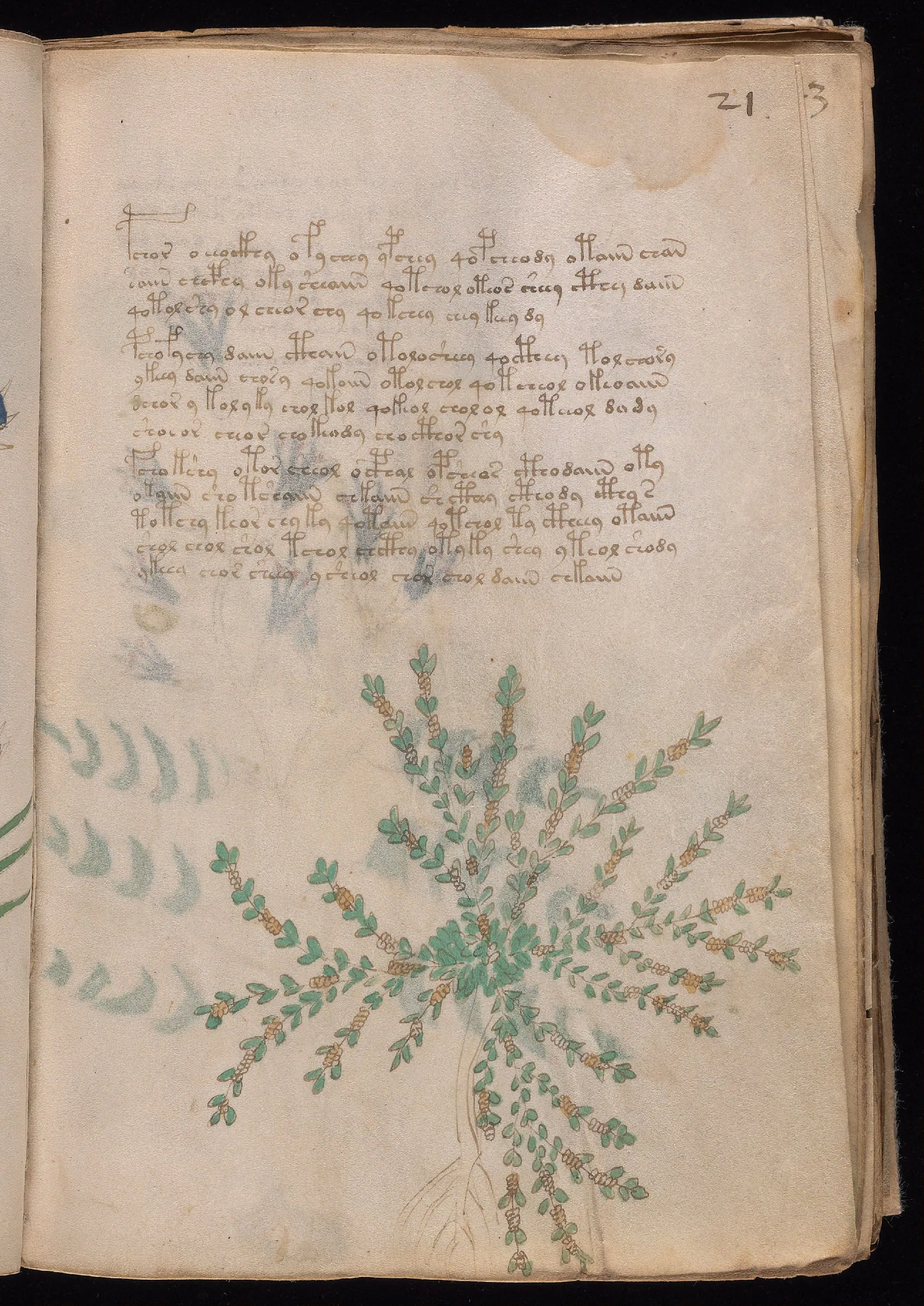 Folio 21r