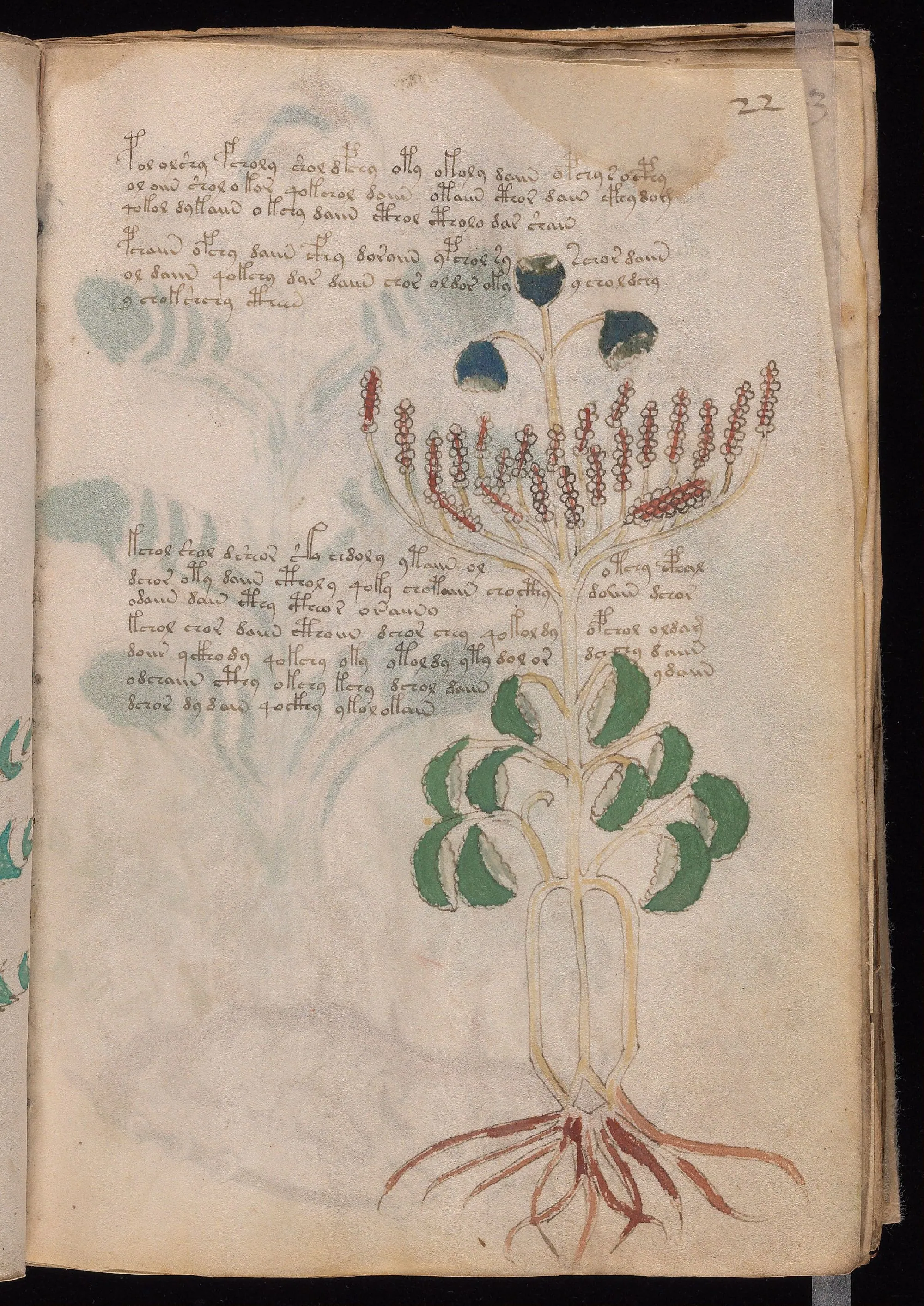Folio 22r