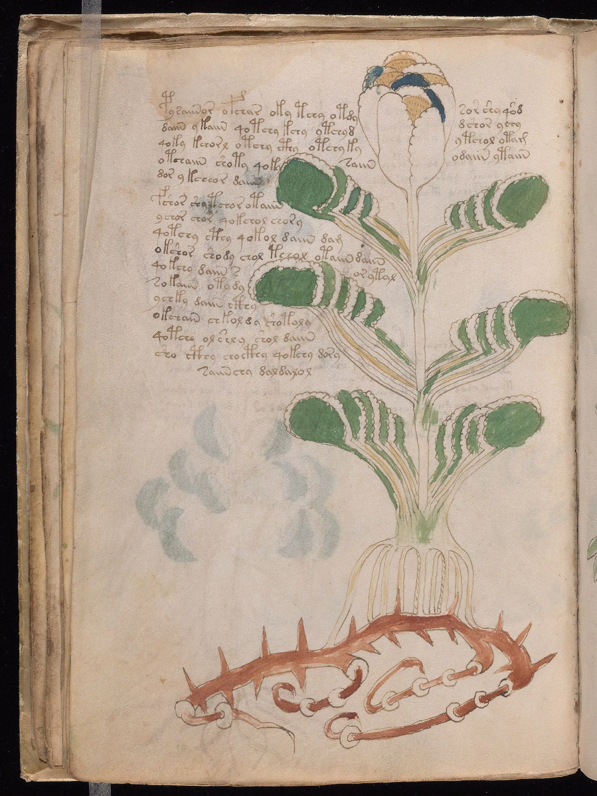 Folio 22v