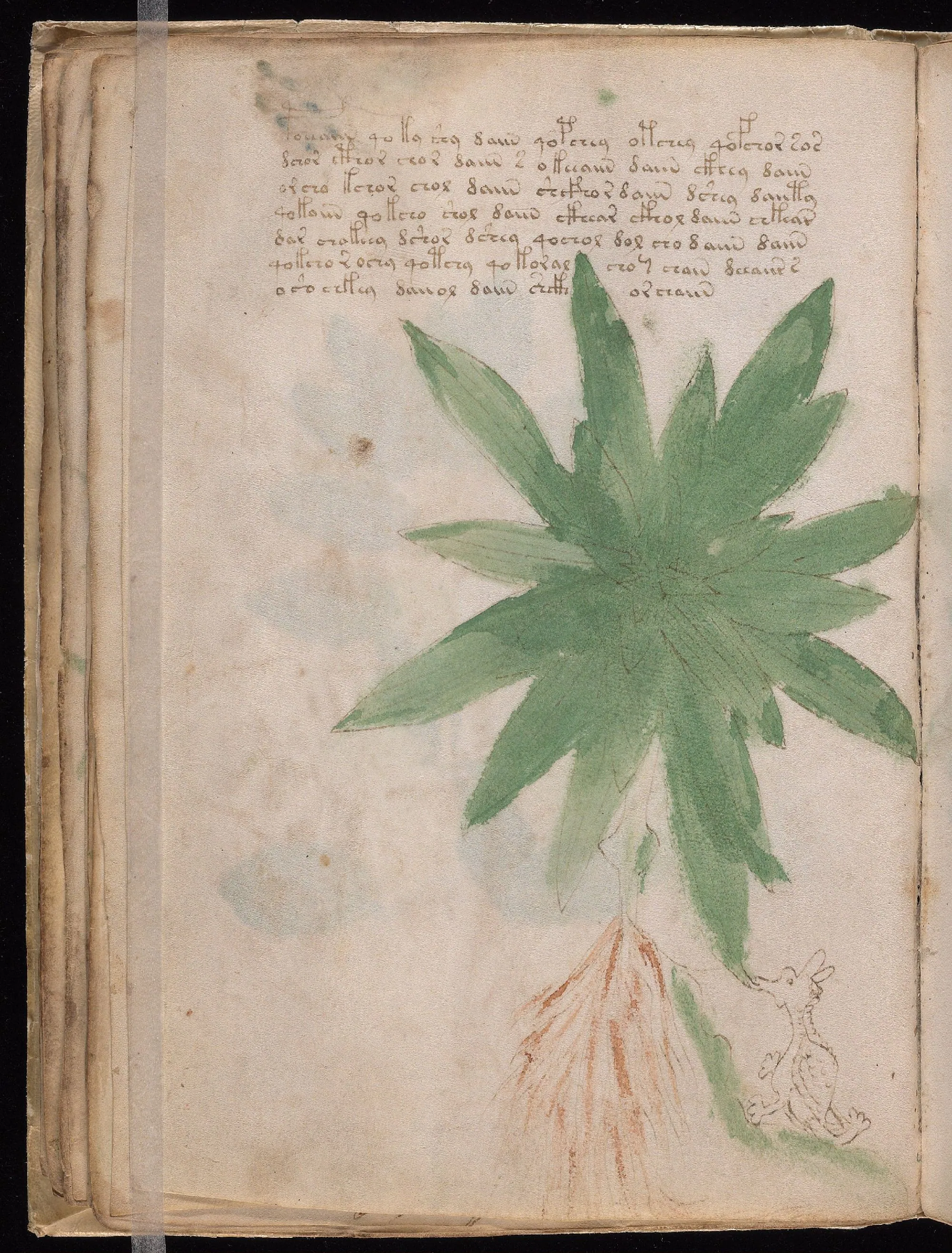 Folio 25v