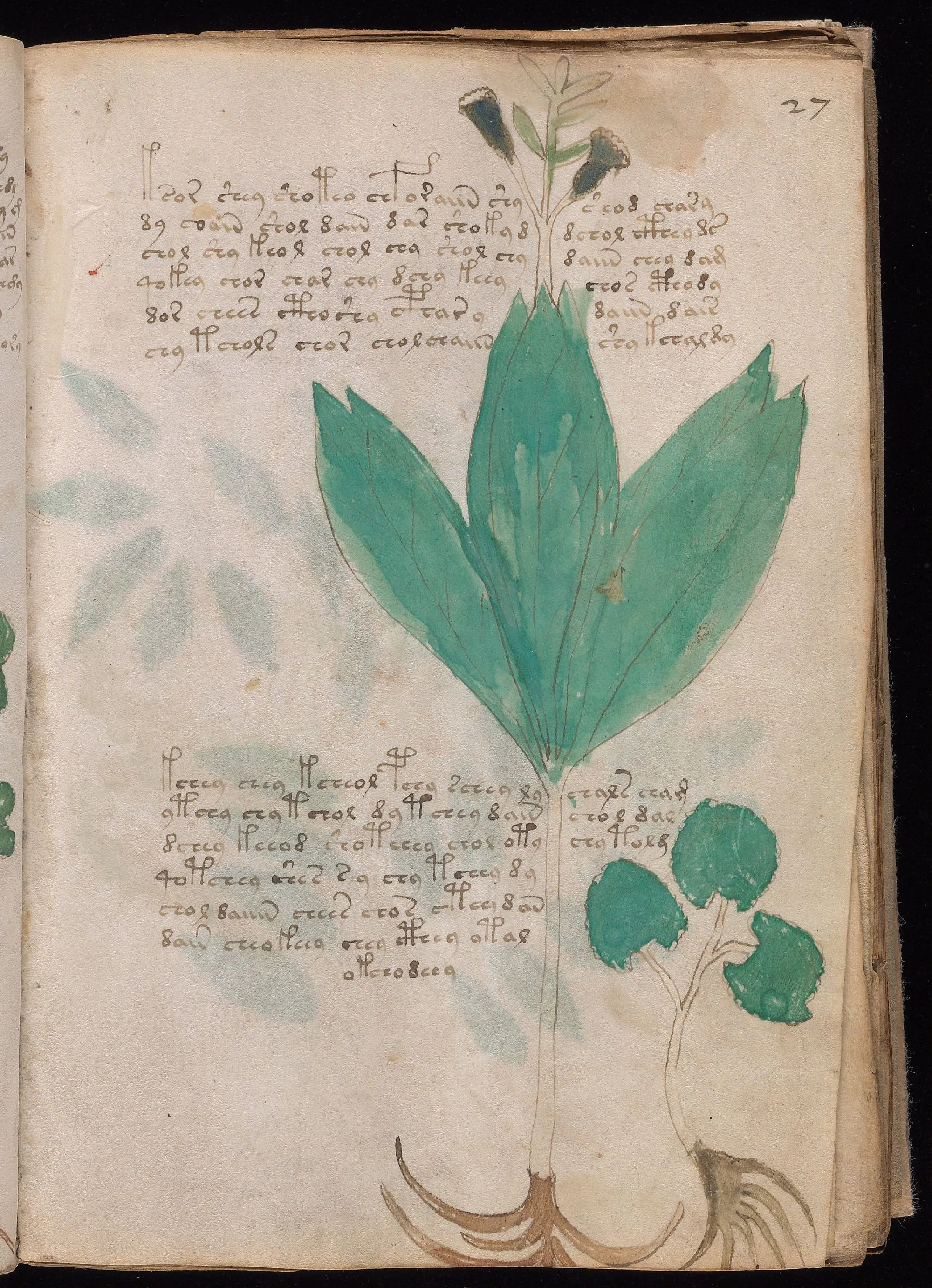 Folio 27r