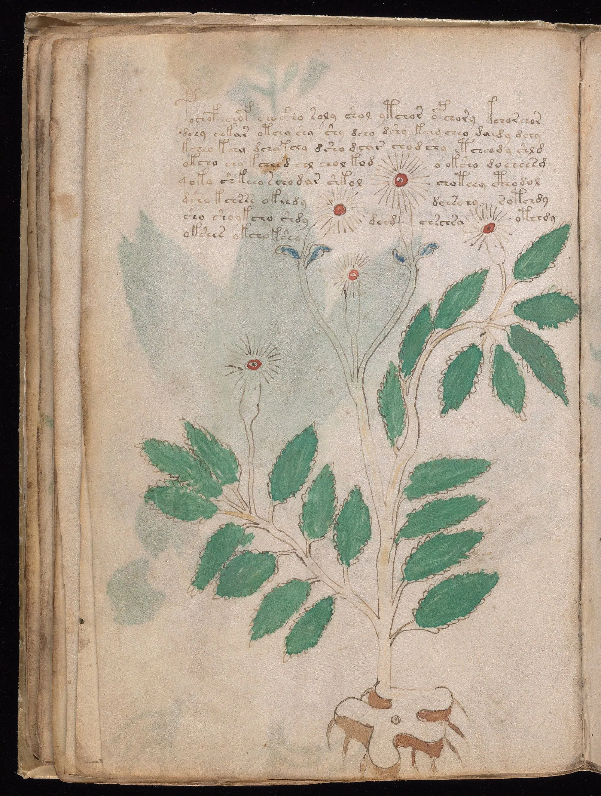 Folio 27v