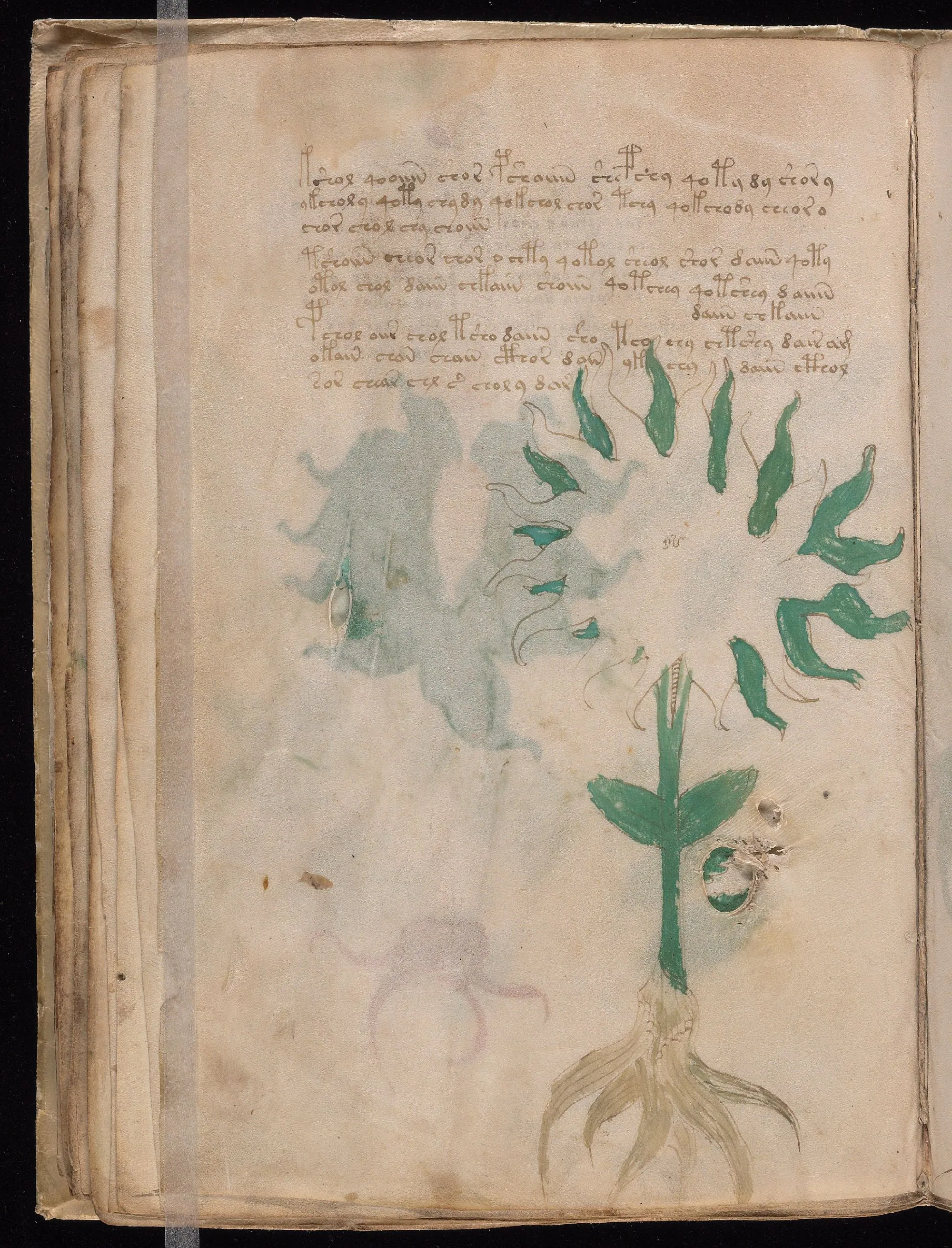 Folio 28v