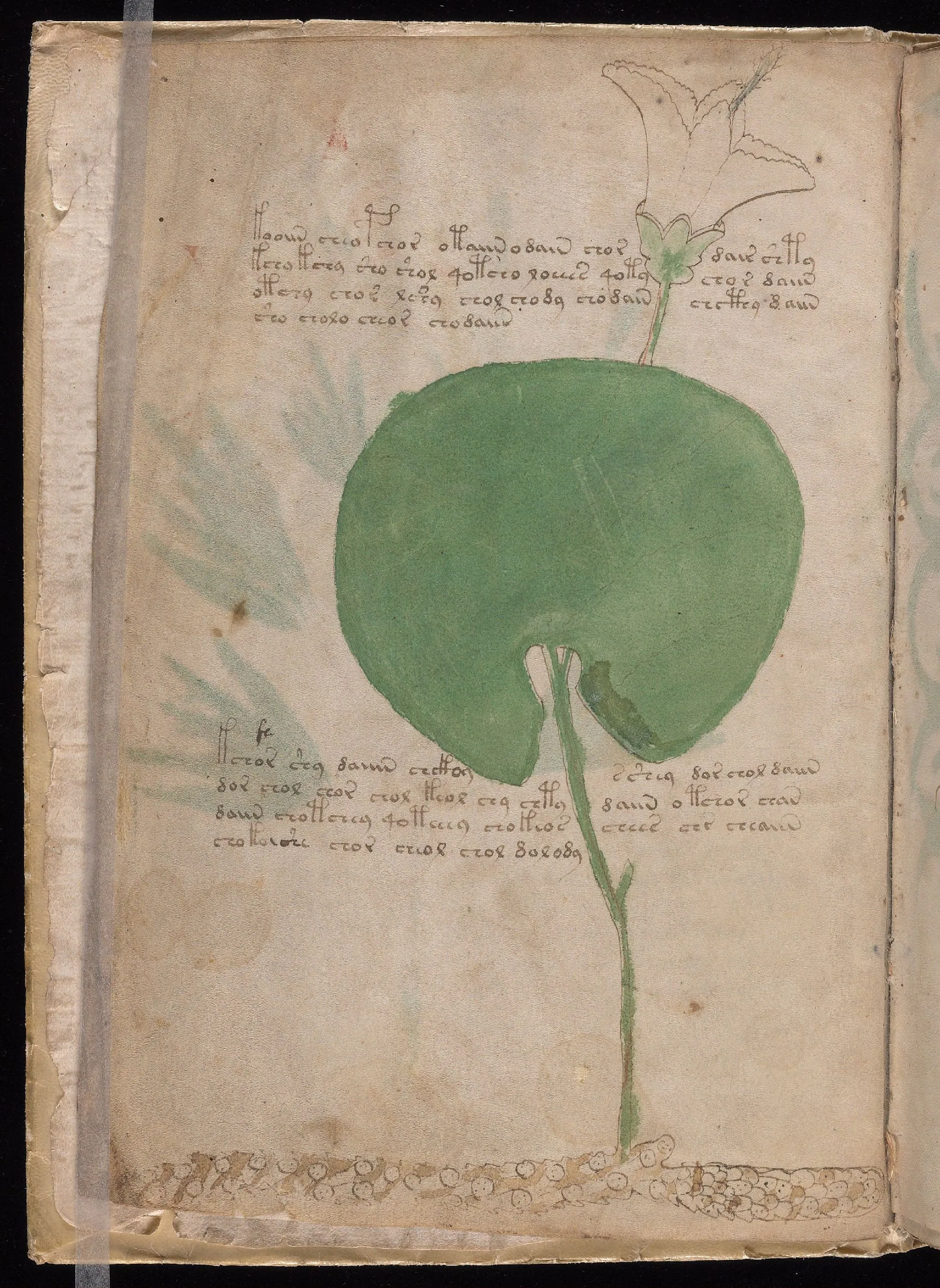 Folio 2v