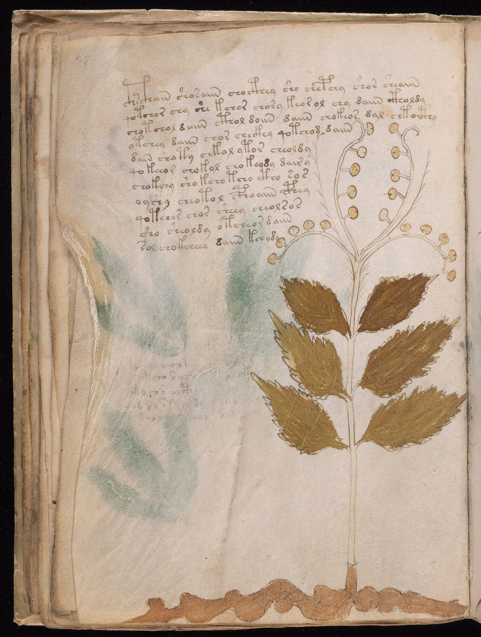 Folio 30v