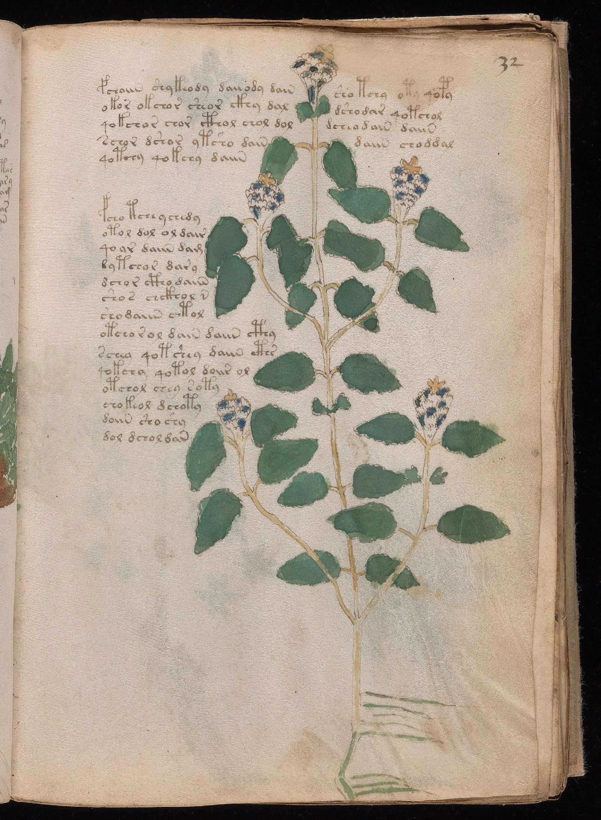 Folio 32r