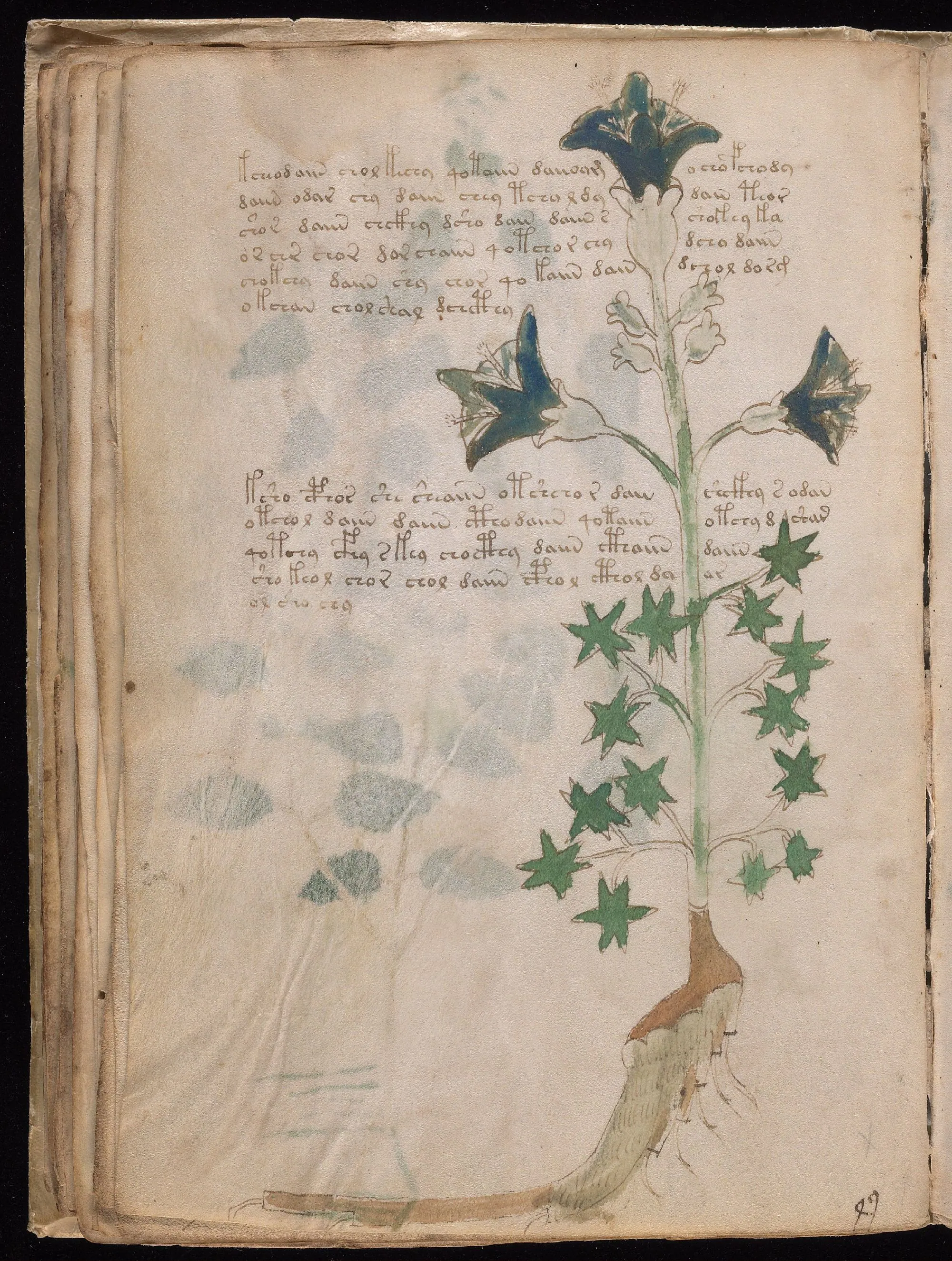 Folio 32v