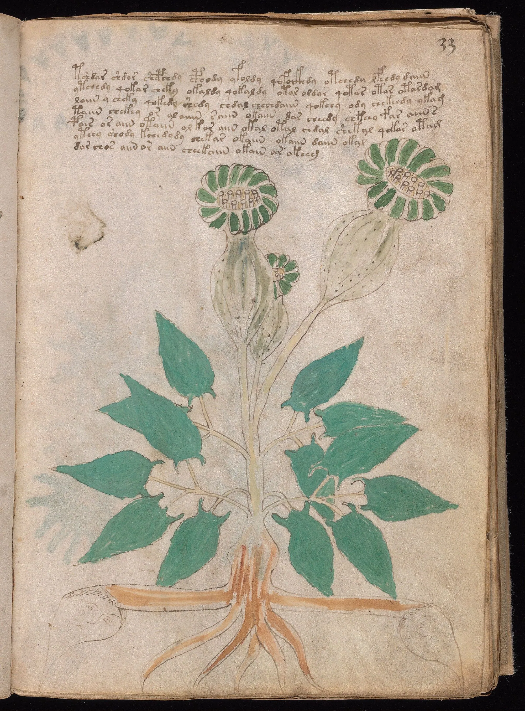 Folio 33r