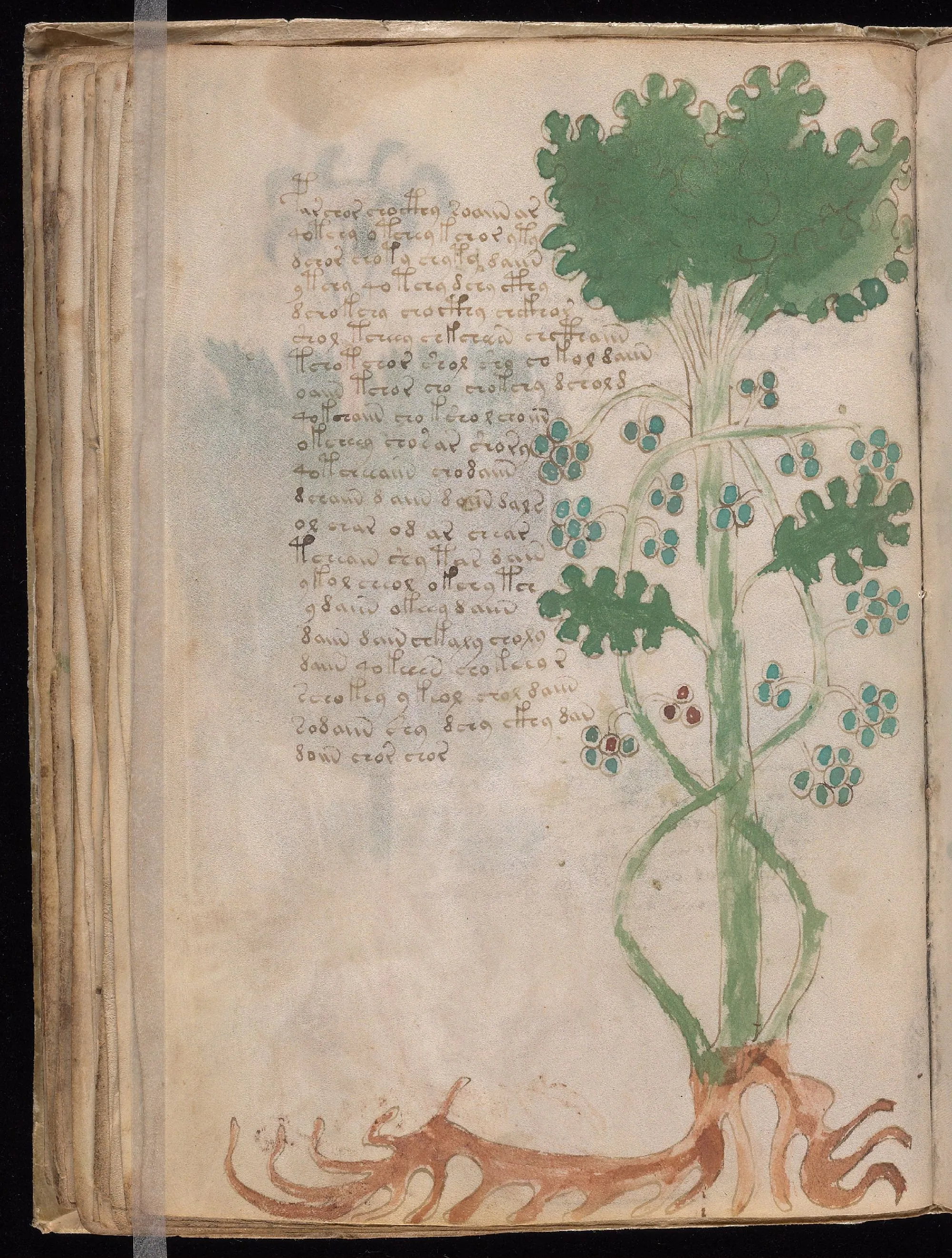 Folio 35v