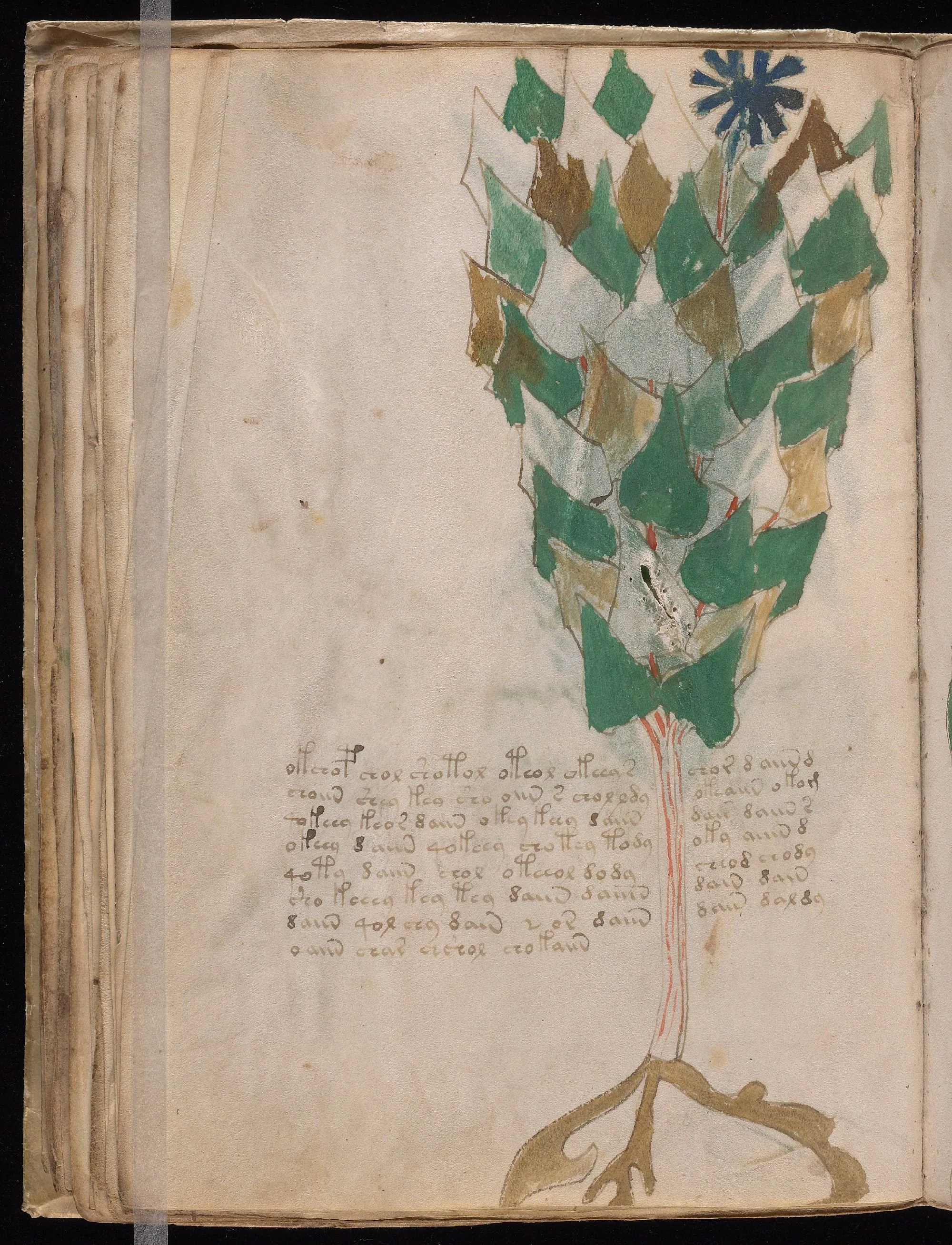 Folio 38v