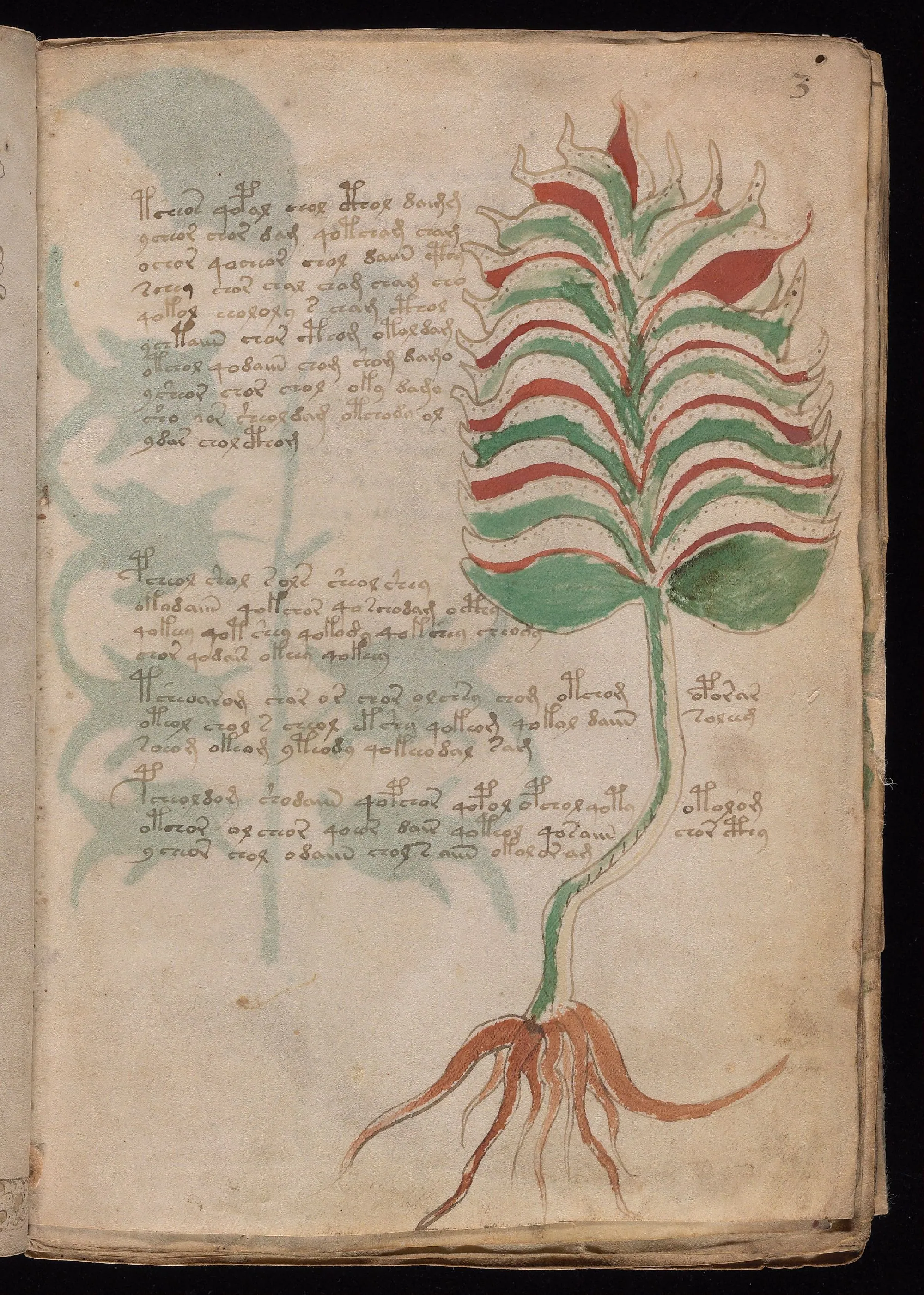 Folio 3r
