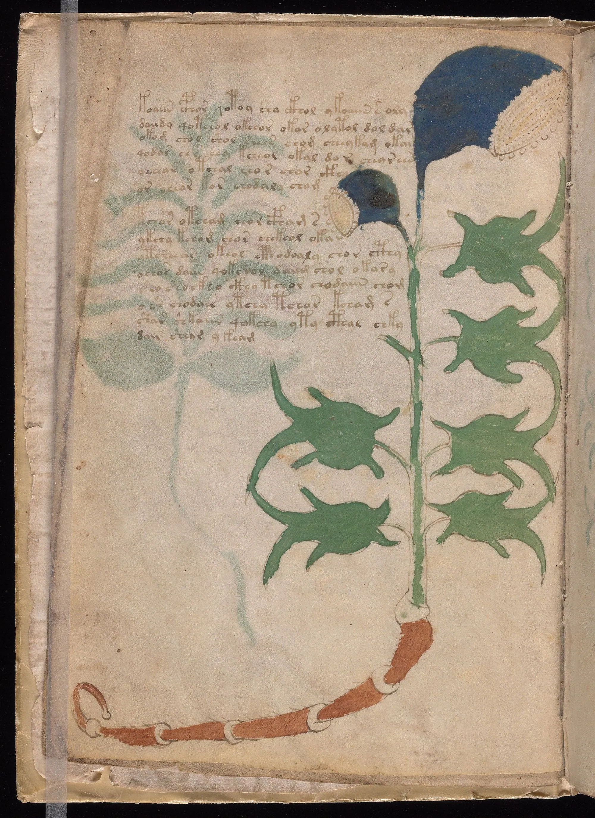 Folio 3v