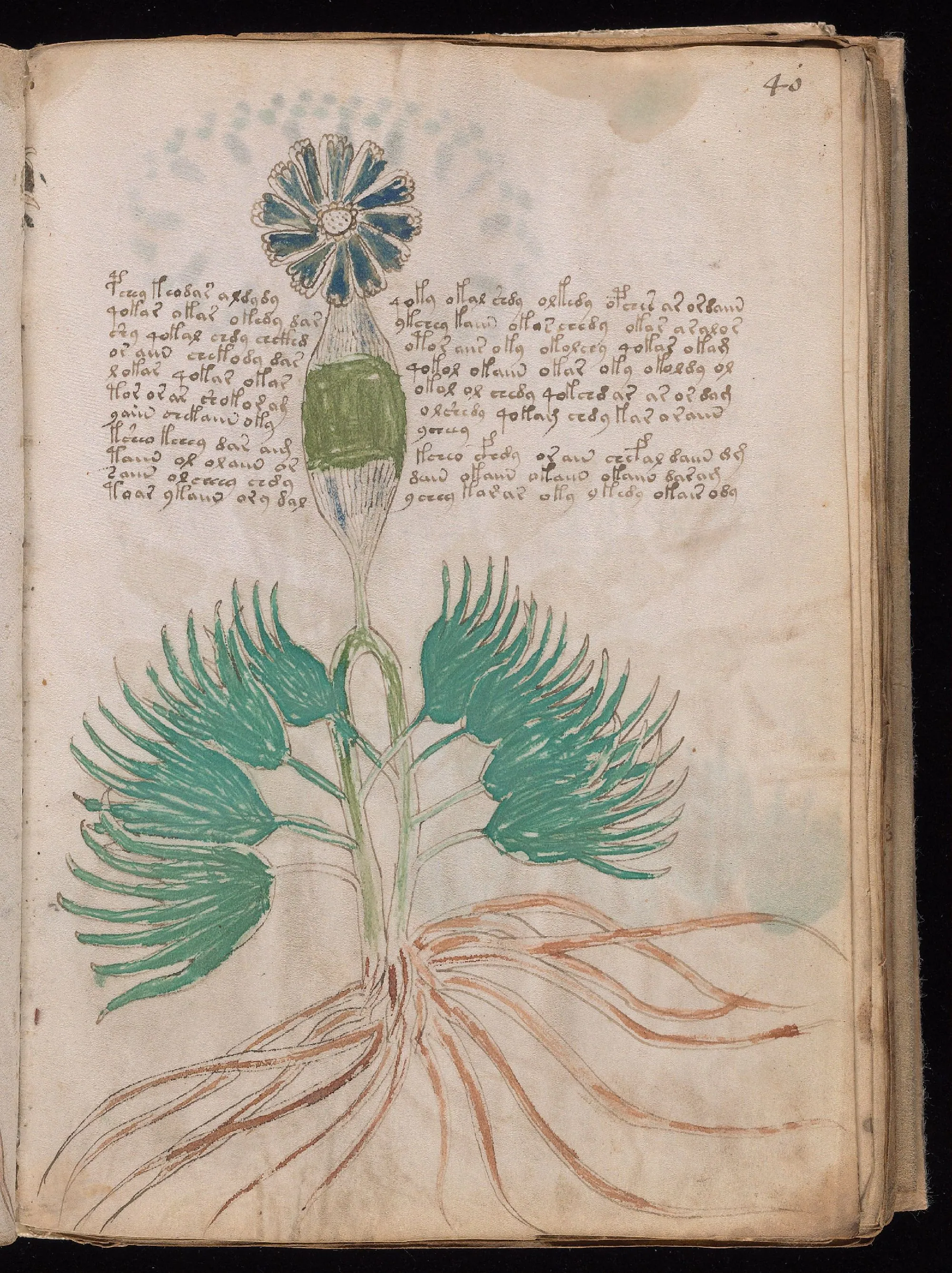Folio 40r