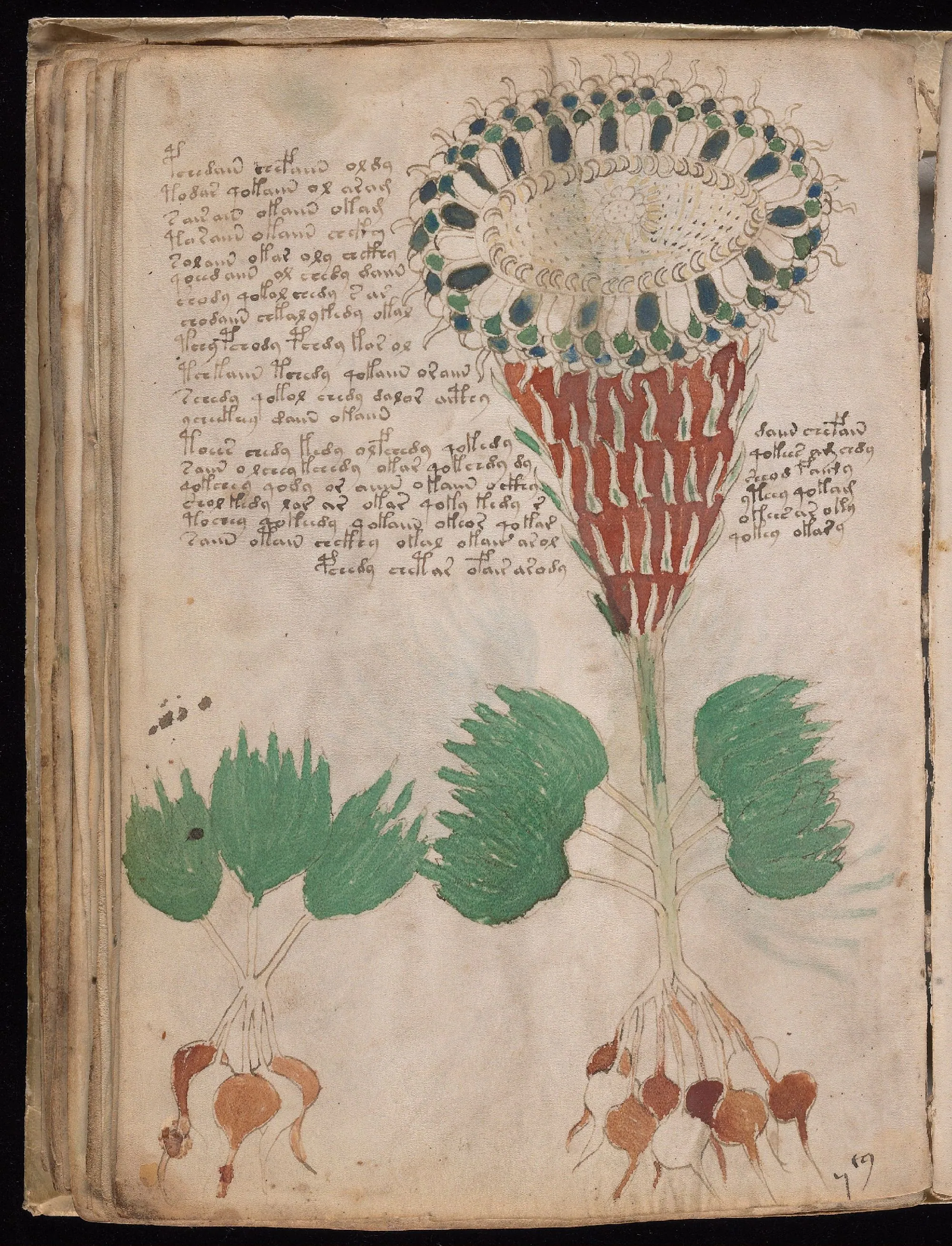 Folio 40v