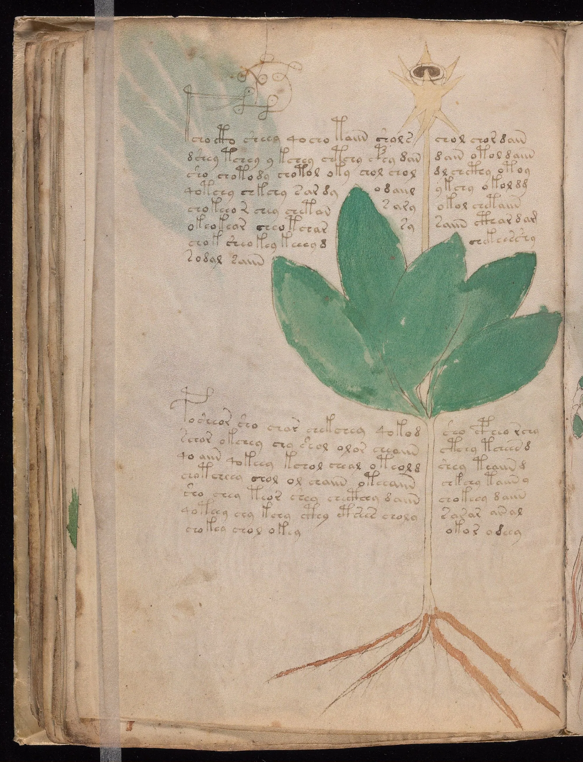 Folio 42v