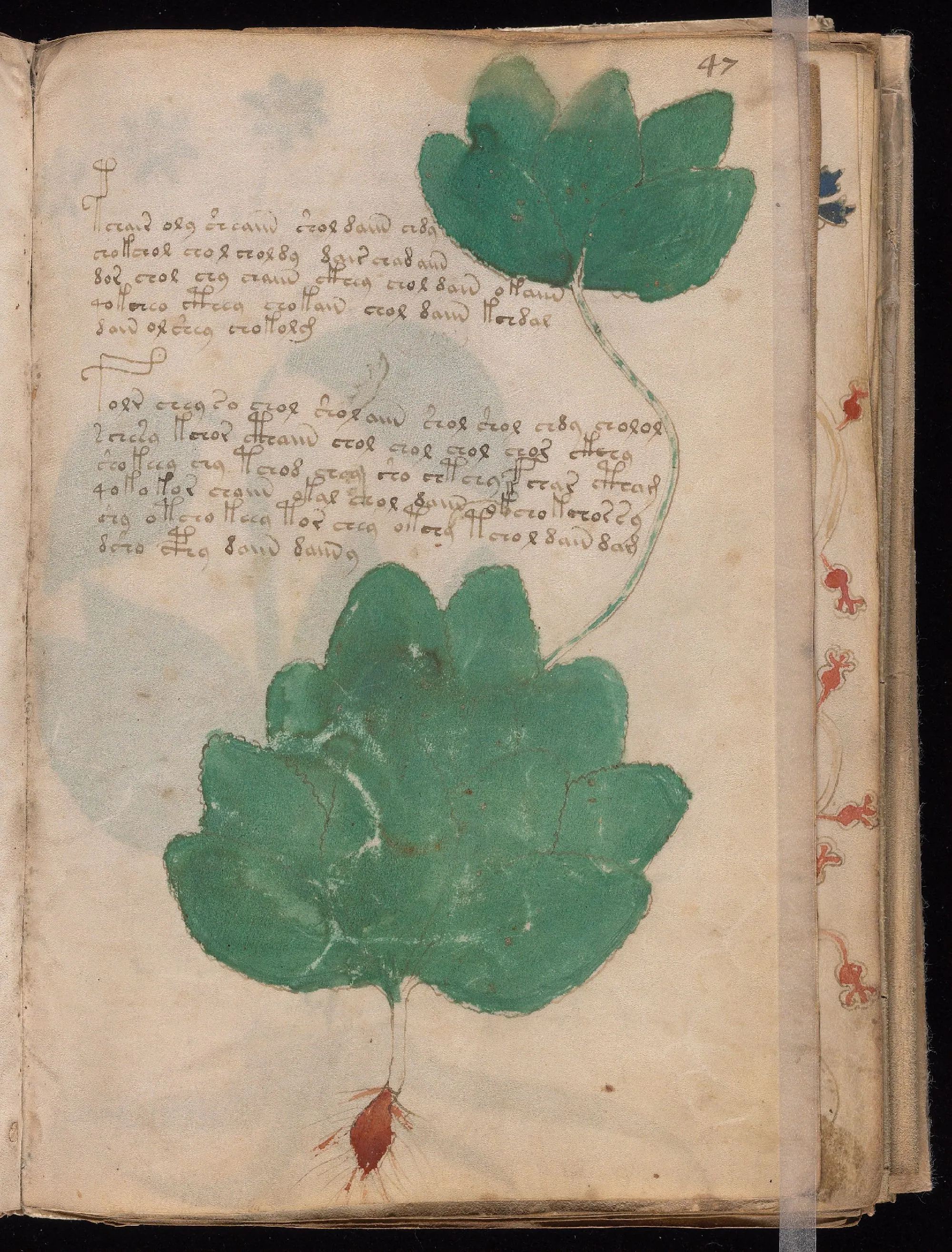 Folio 47r