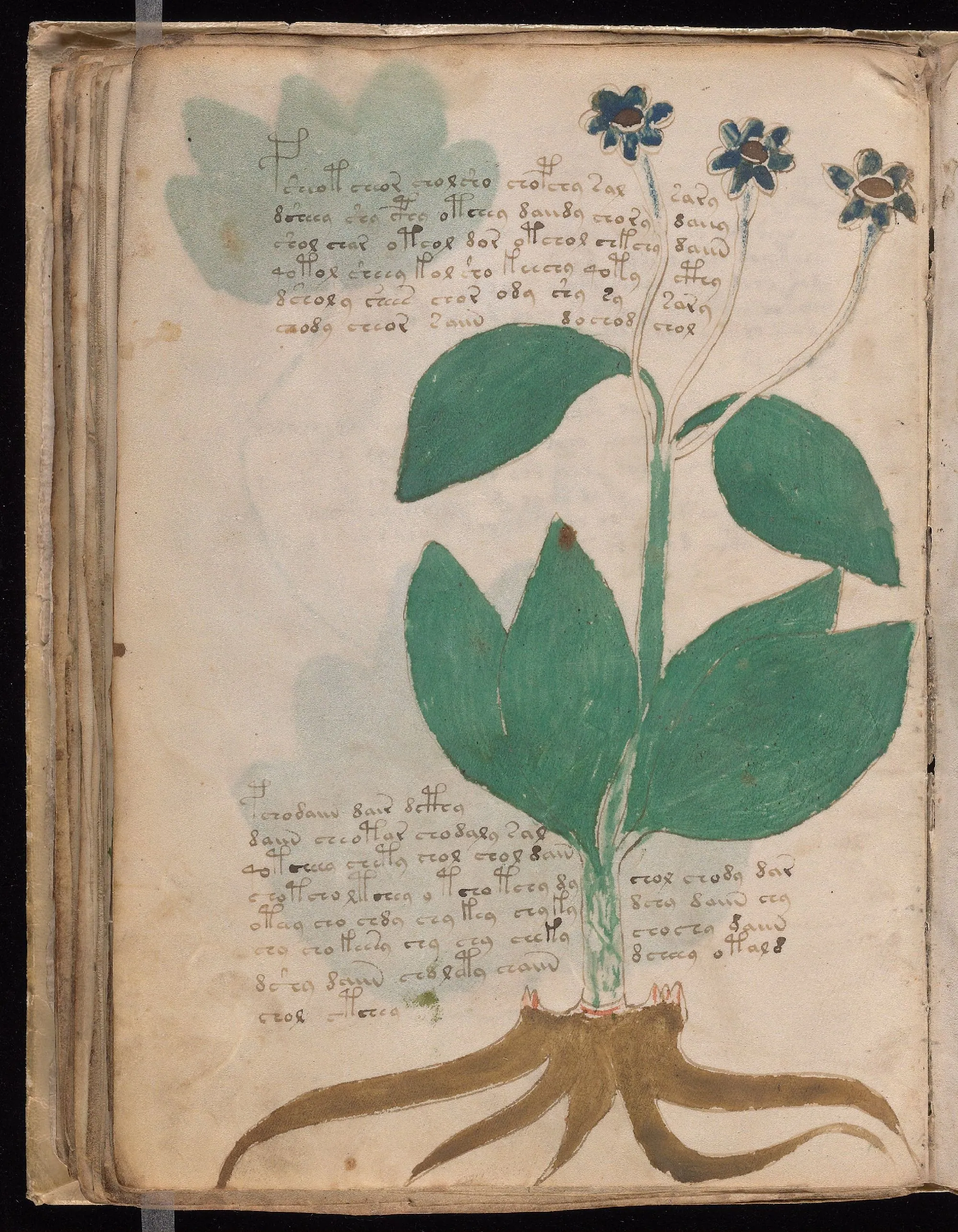Folio 47v