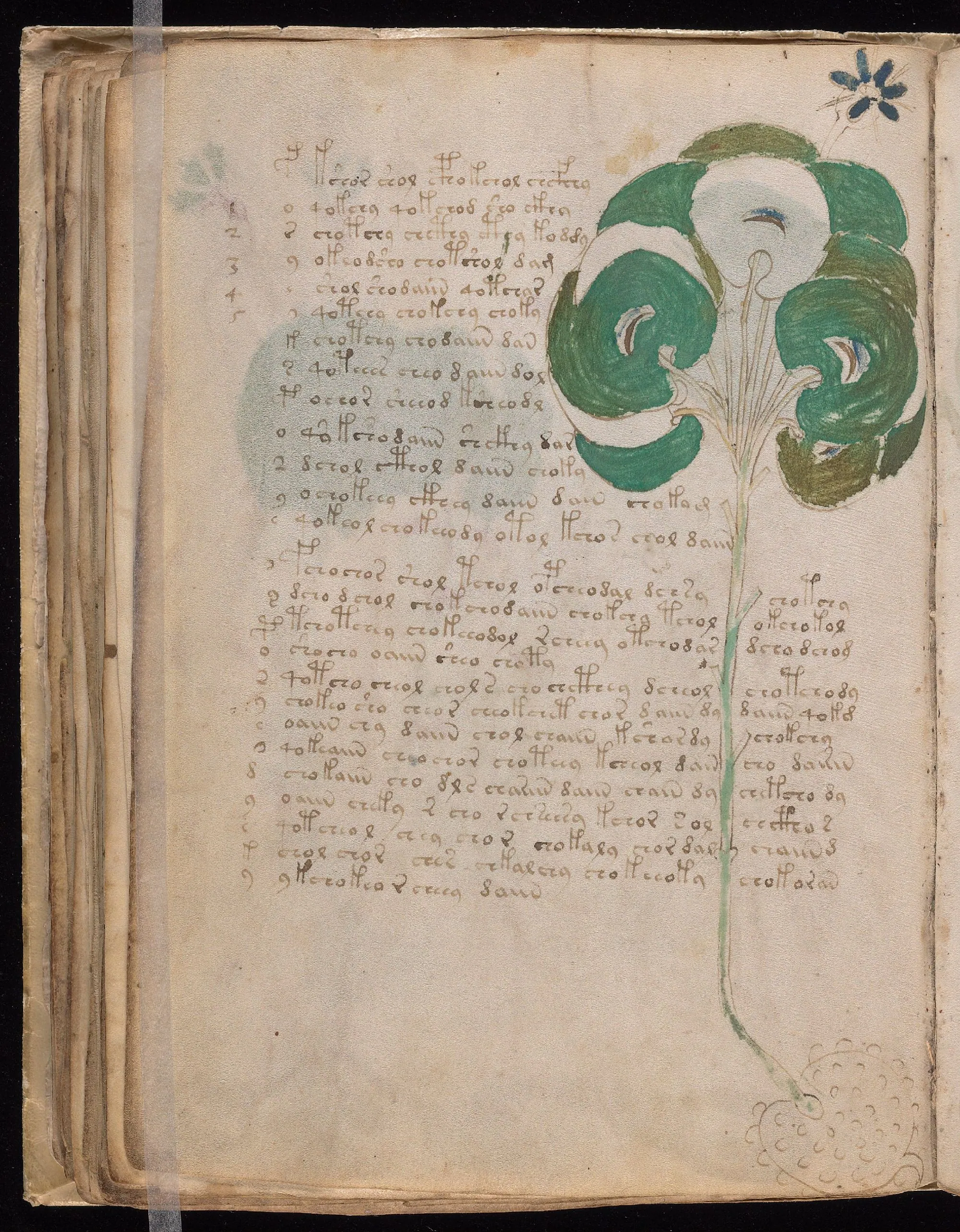 Folio 49v