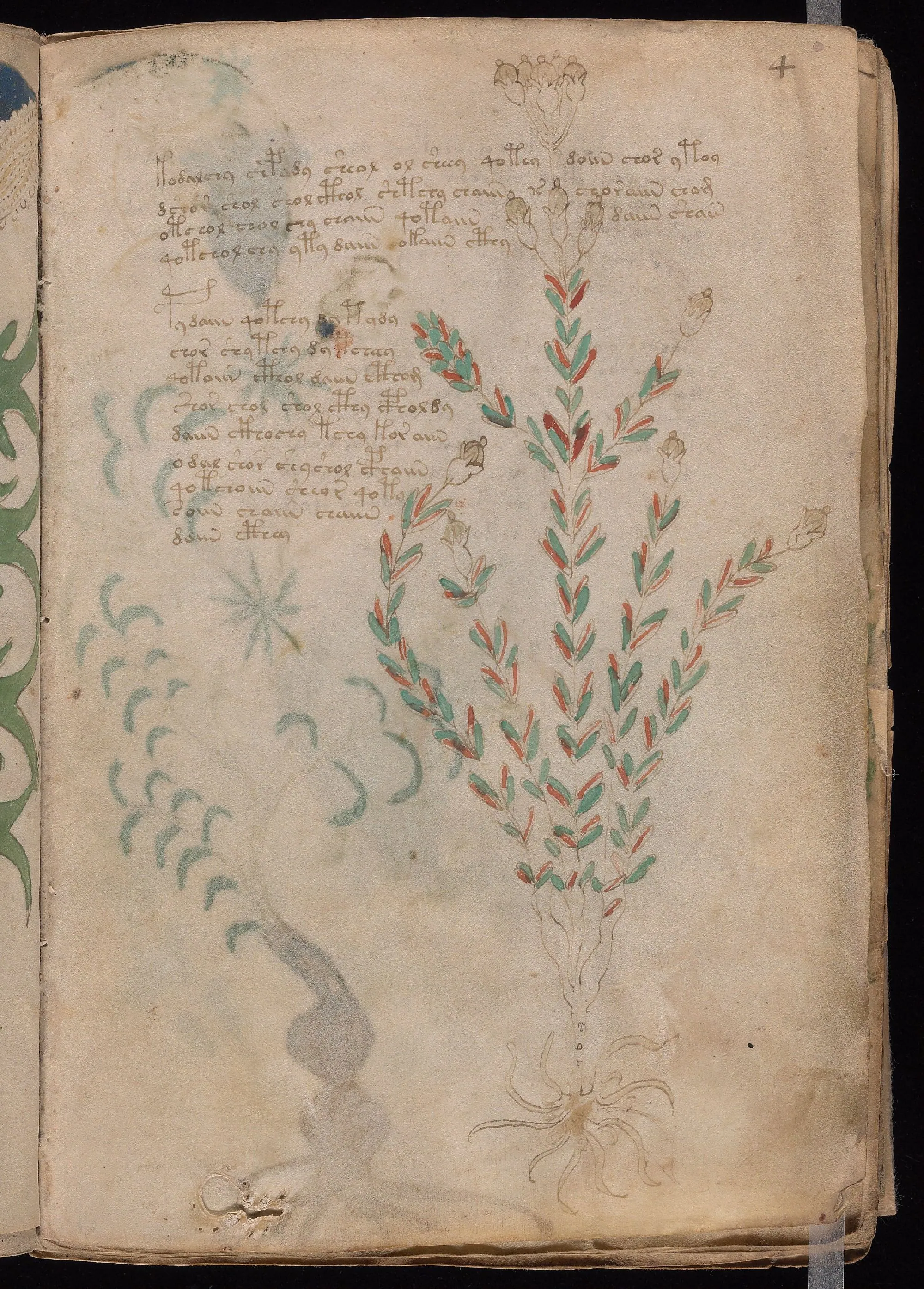 Folio 4r