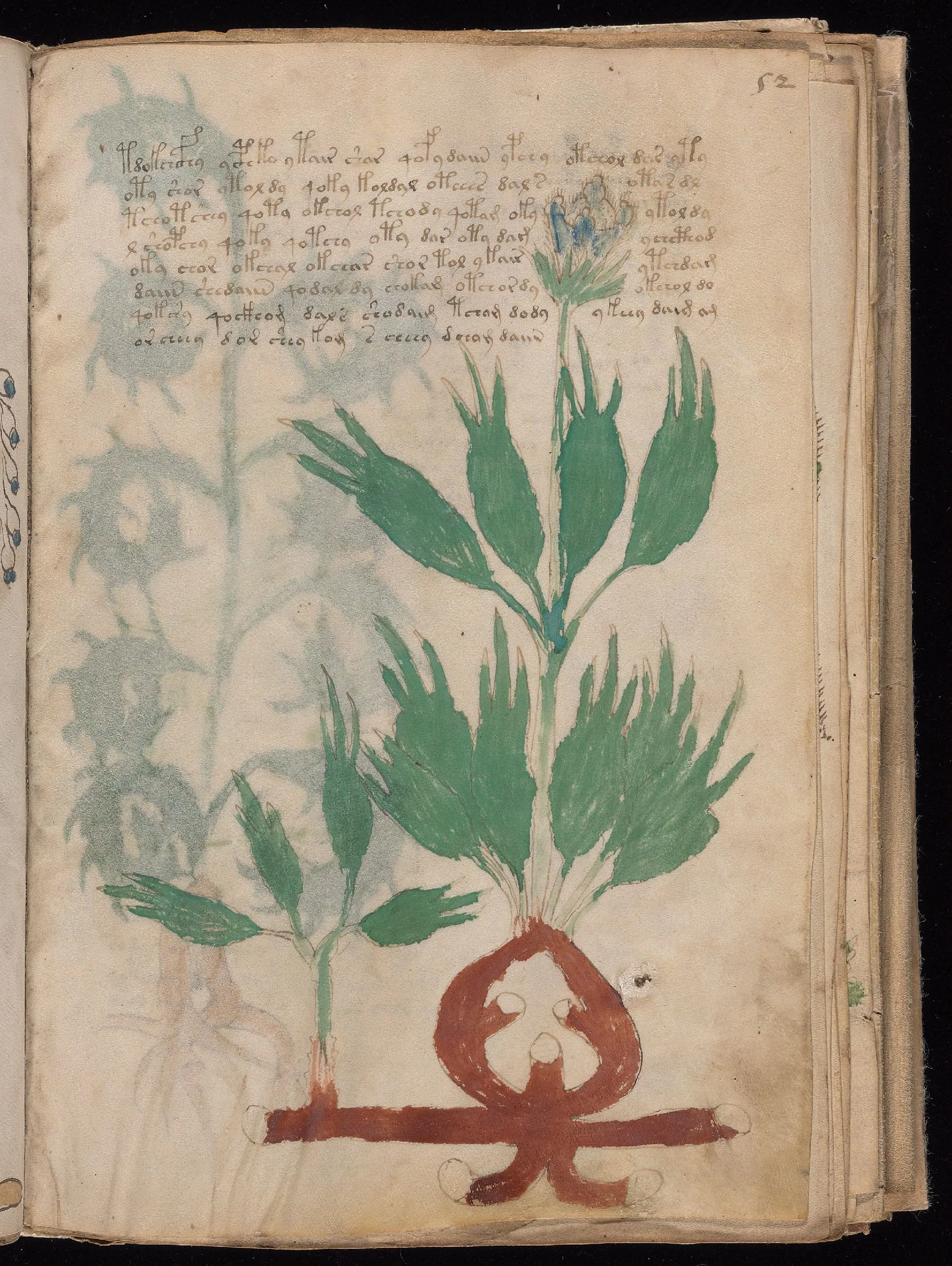 Folio 52r