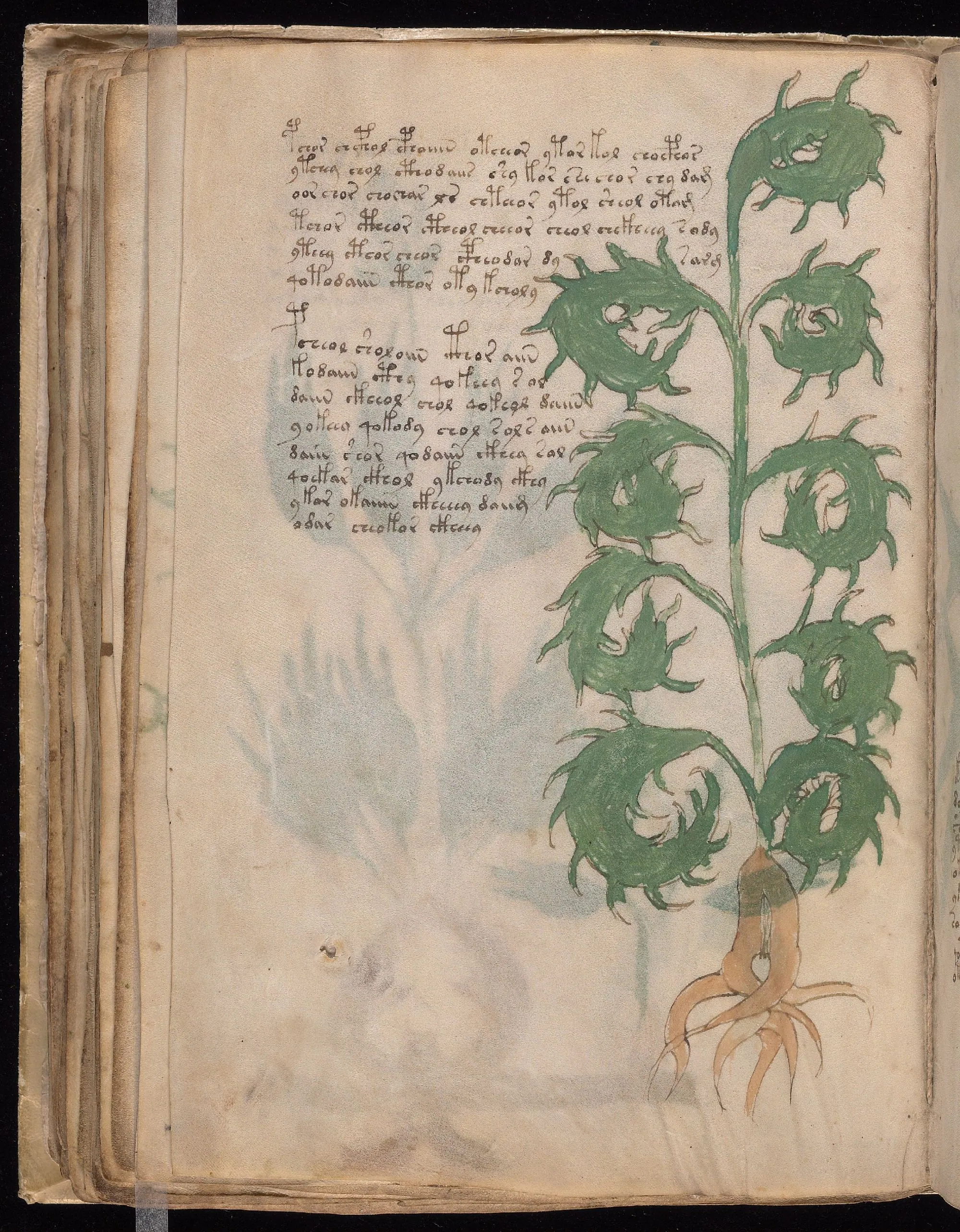 Folio 52v