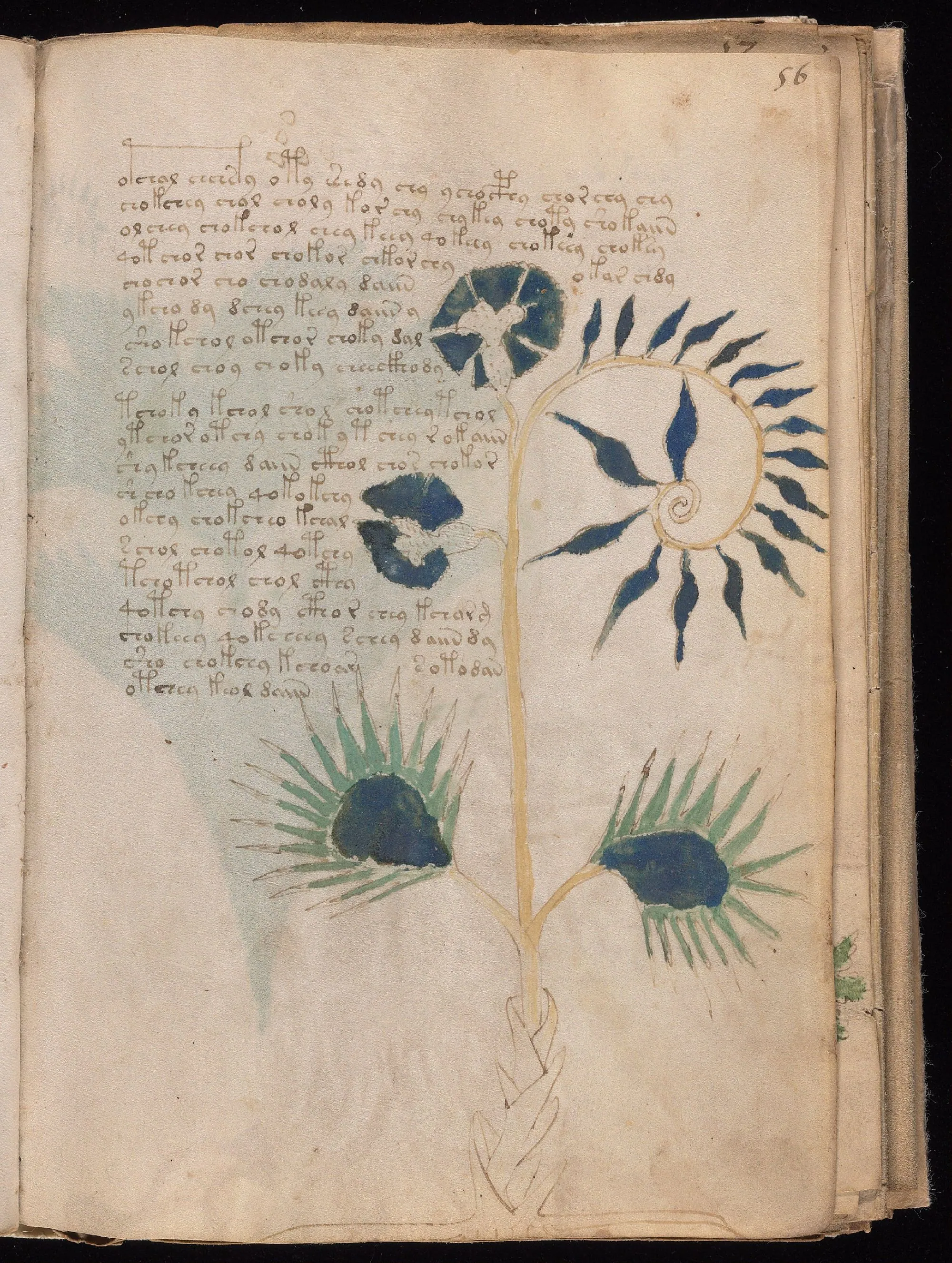 Folio 56r