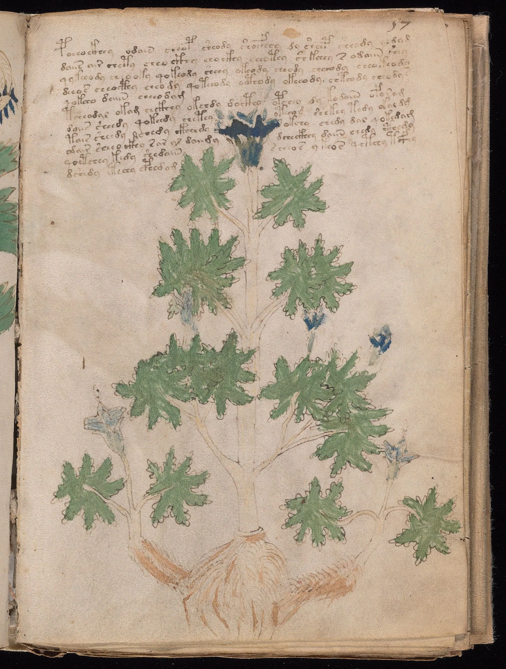 Folio 57r