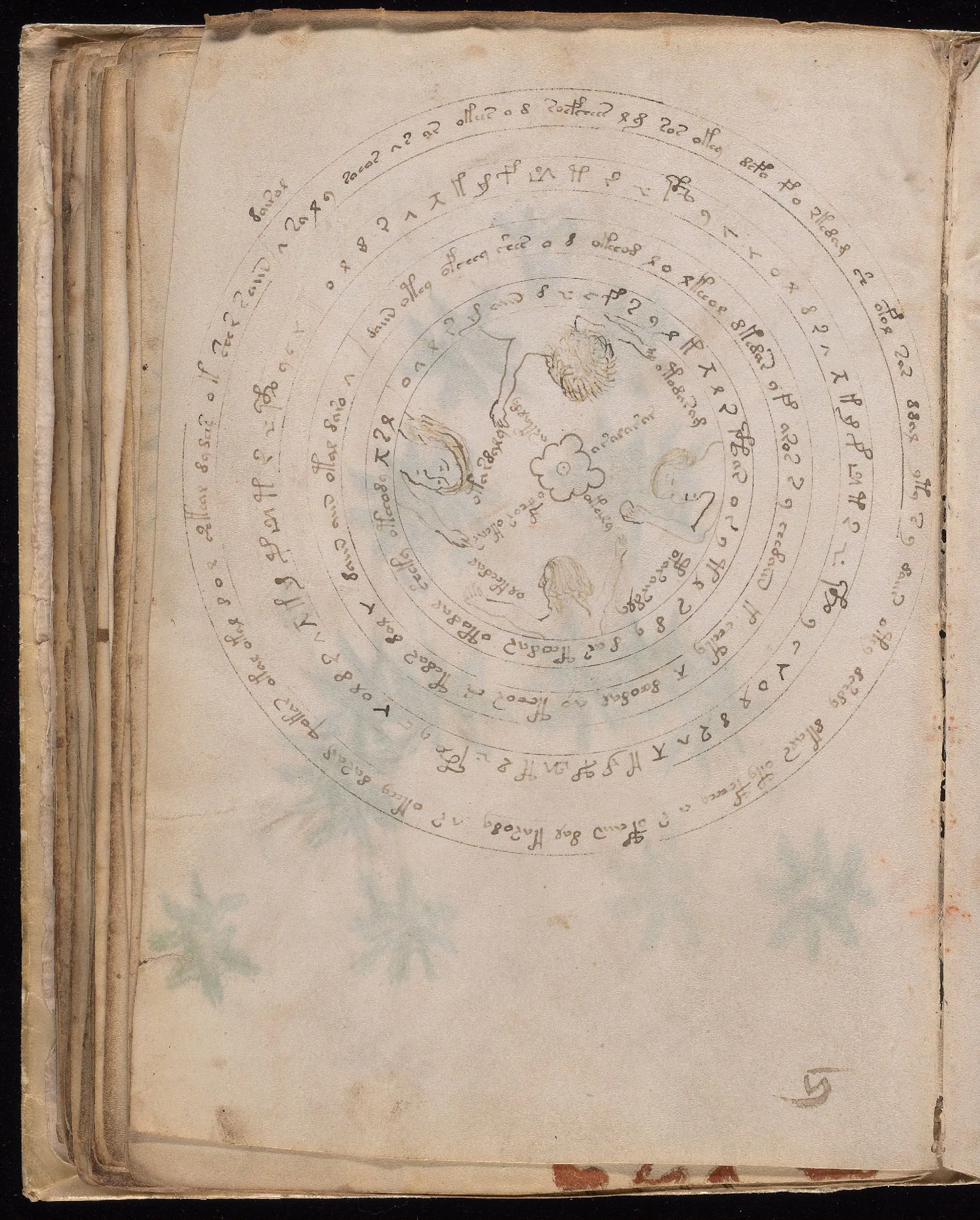 Folio 57v
