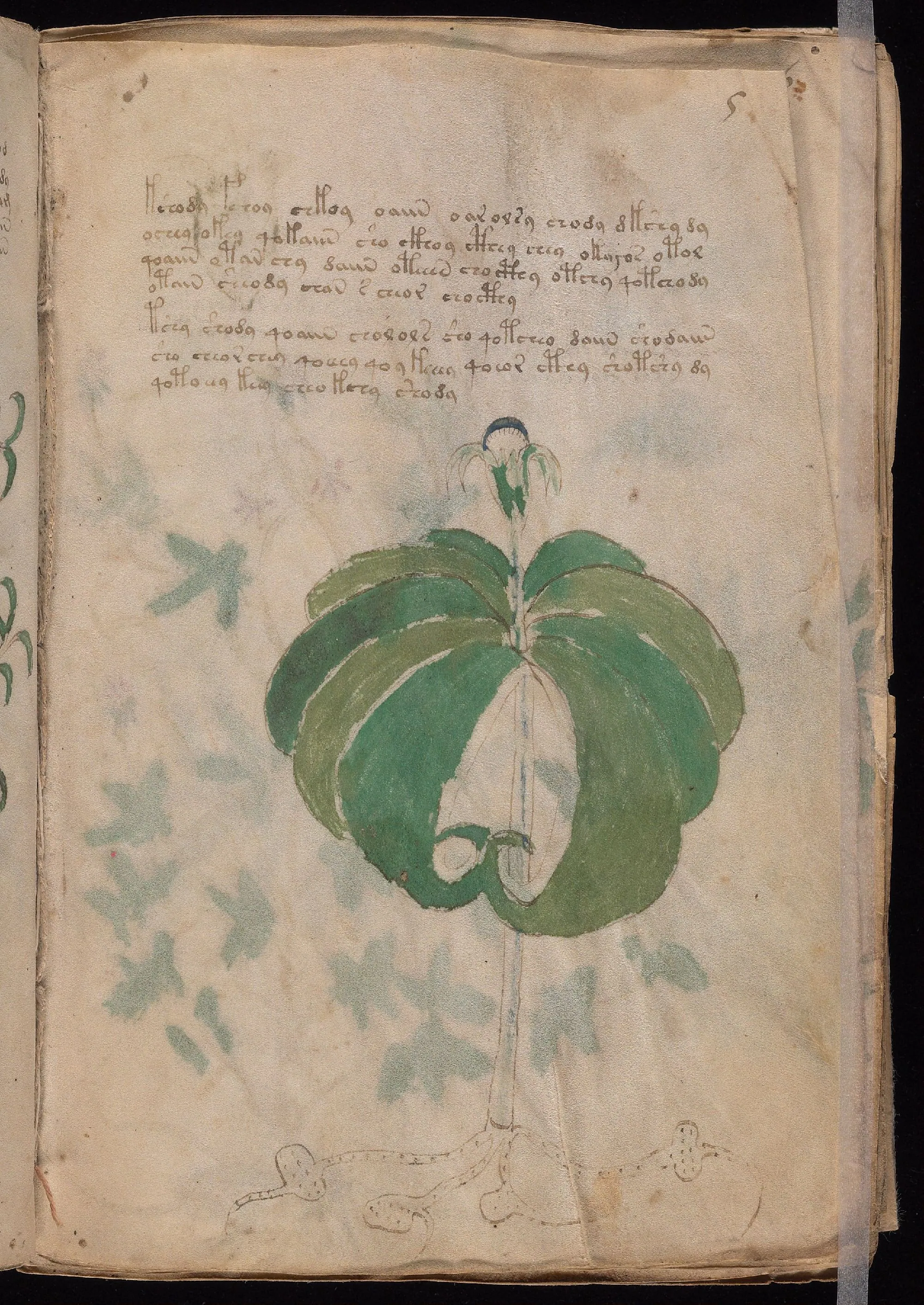Folio 5r