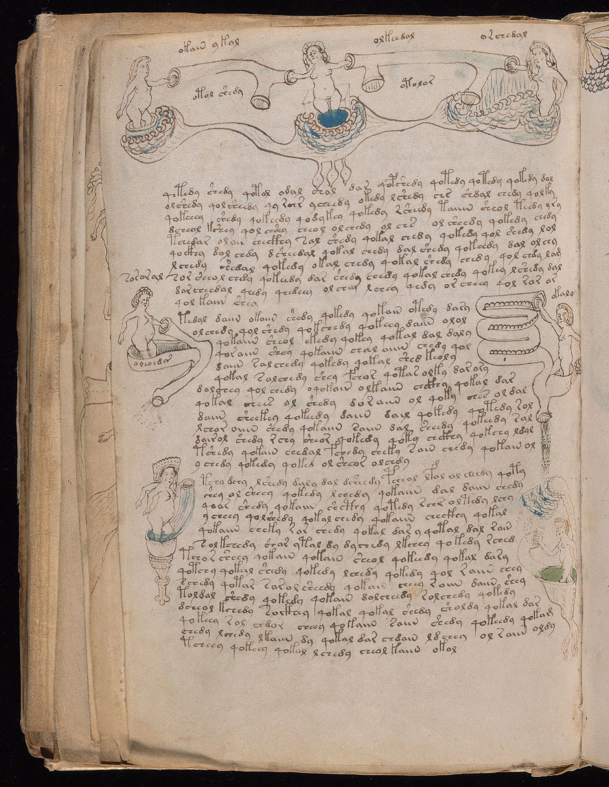 Folio 77v