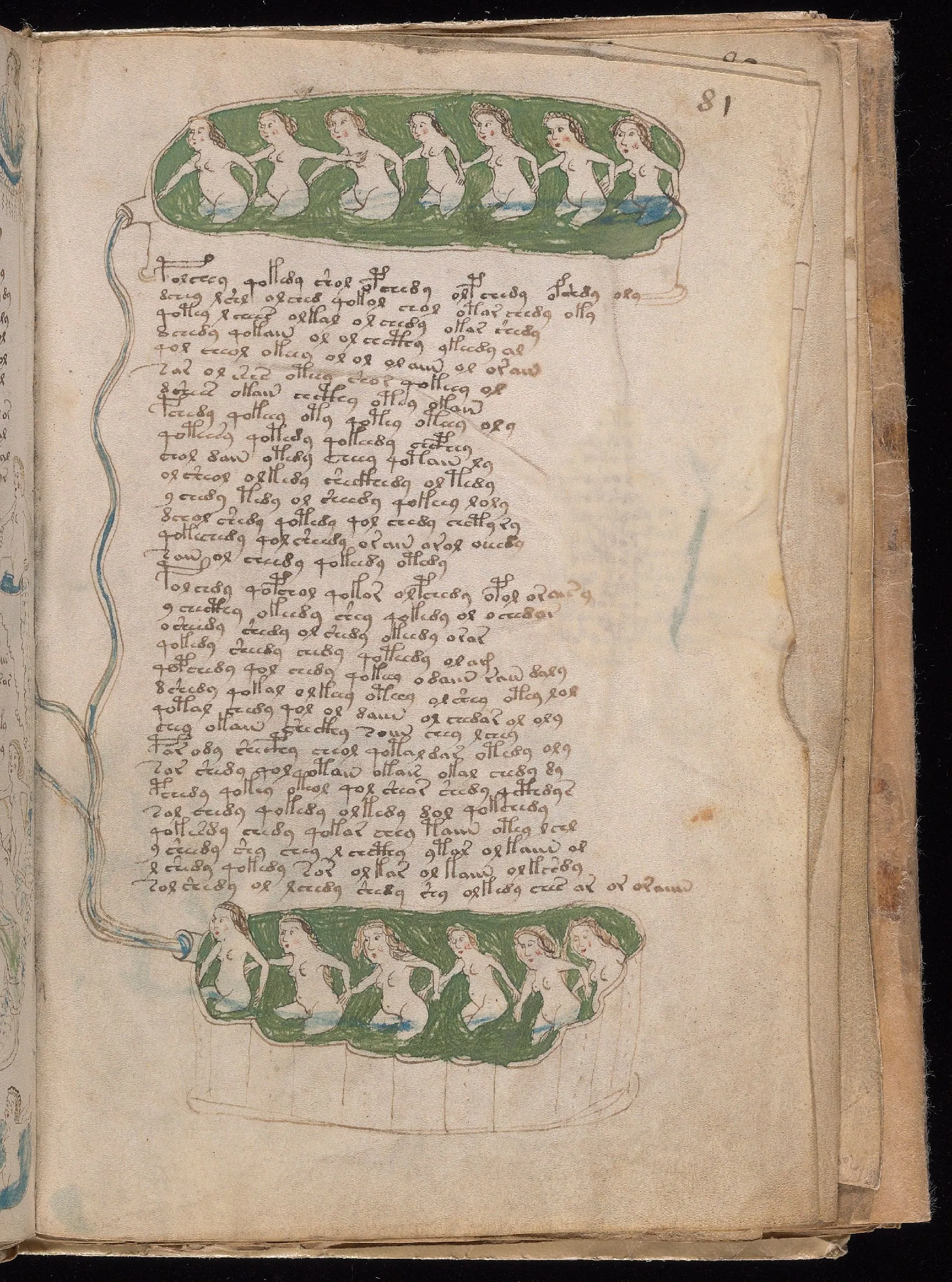 Folio 81r