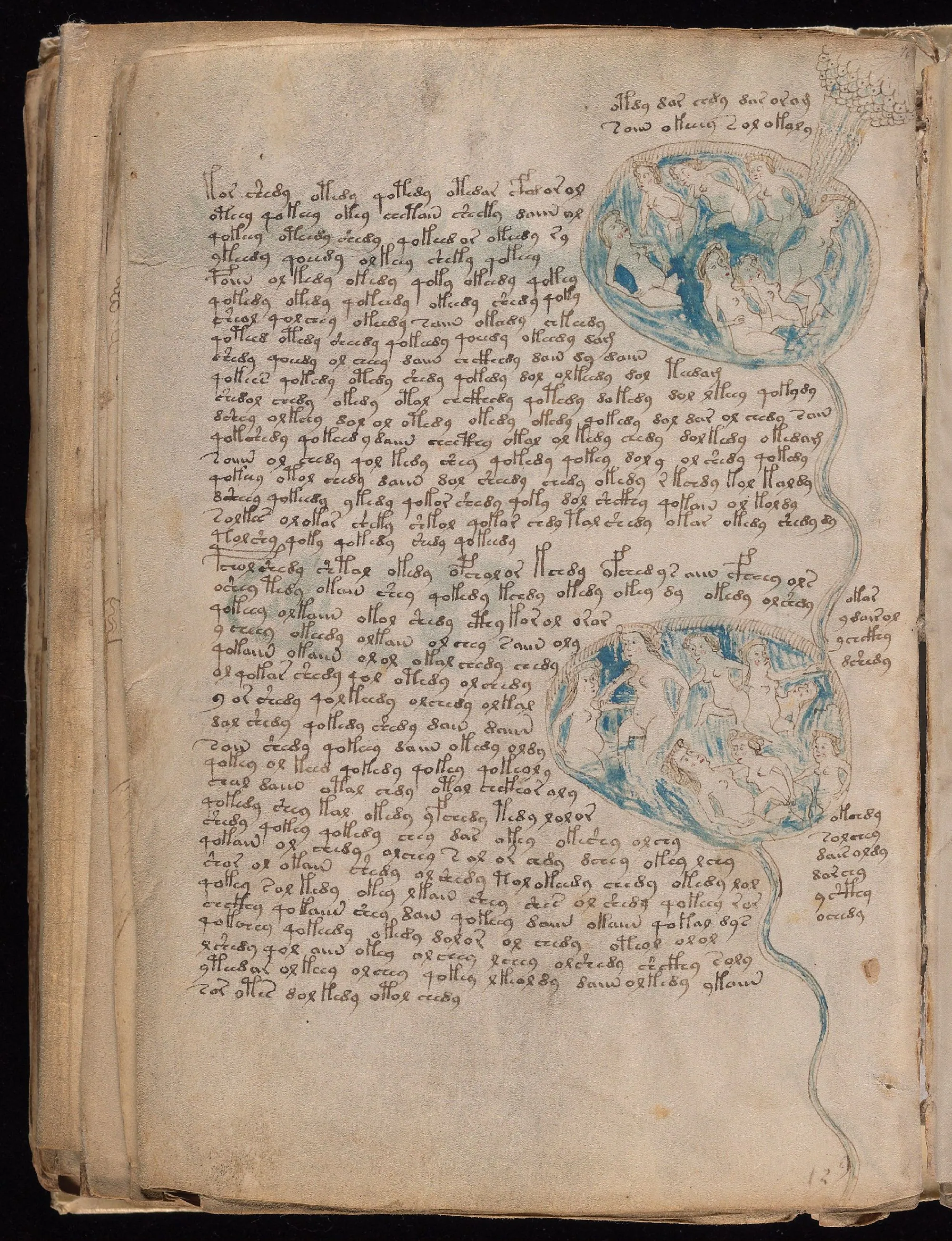 Folio 84v