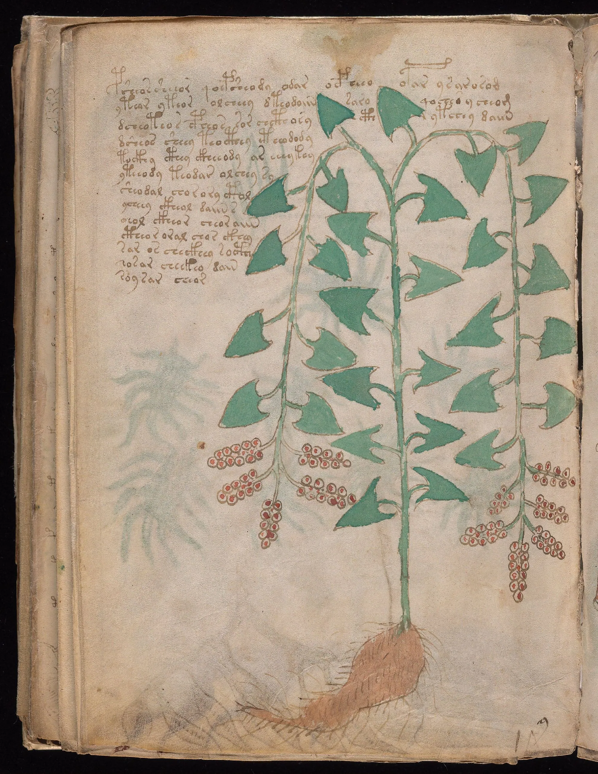 Folio 96v