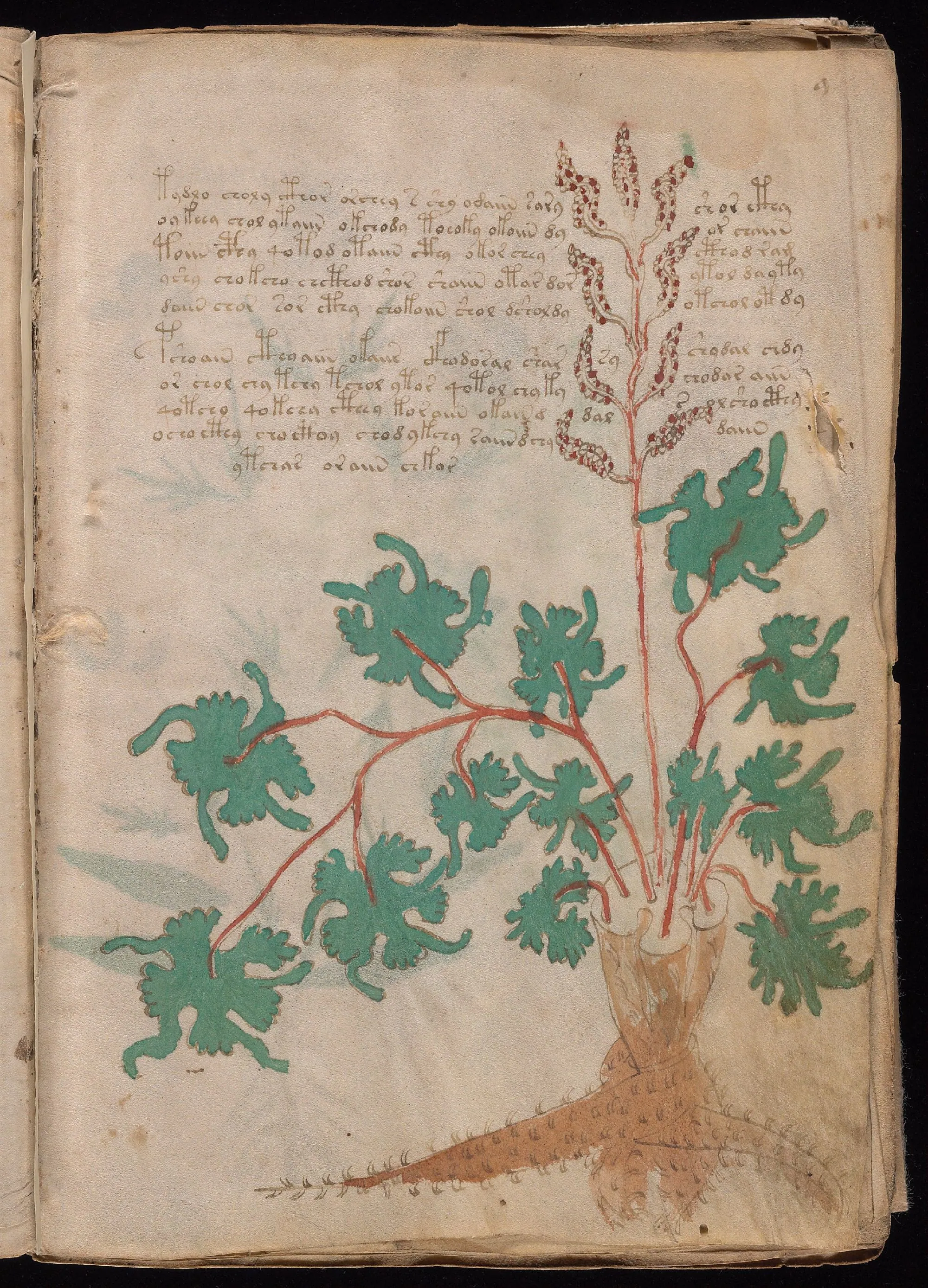 Folio 9r