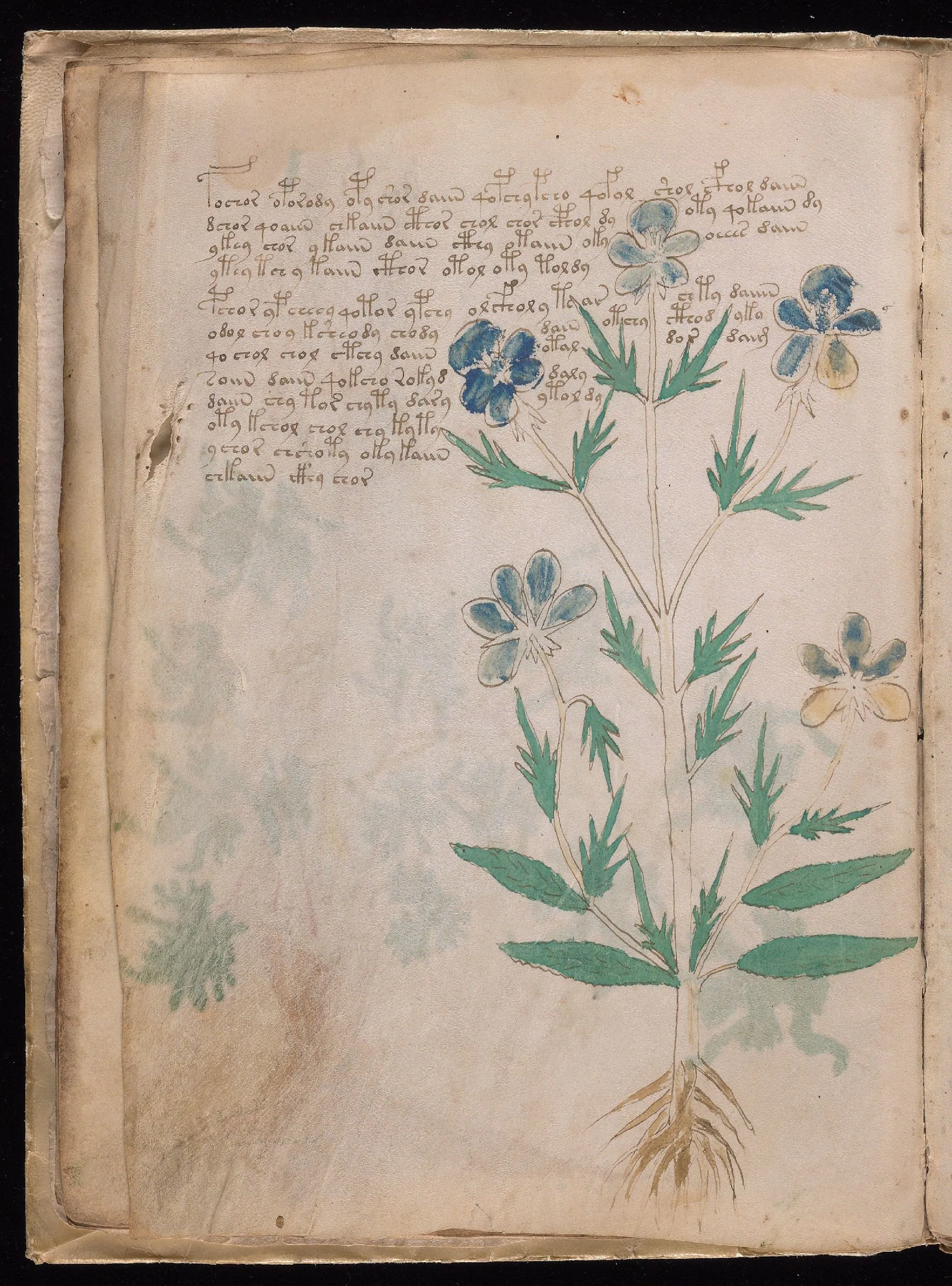 Folio 9v